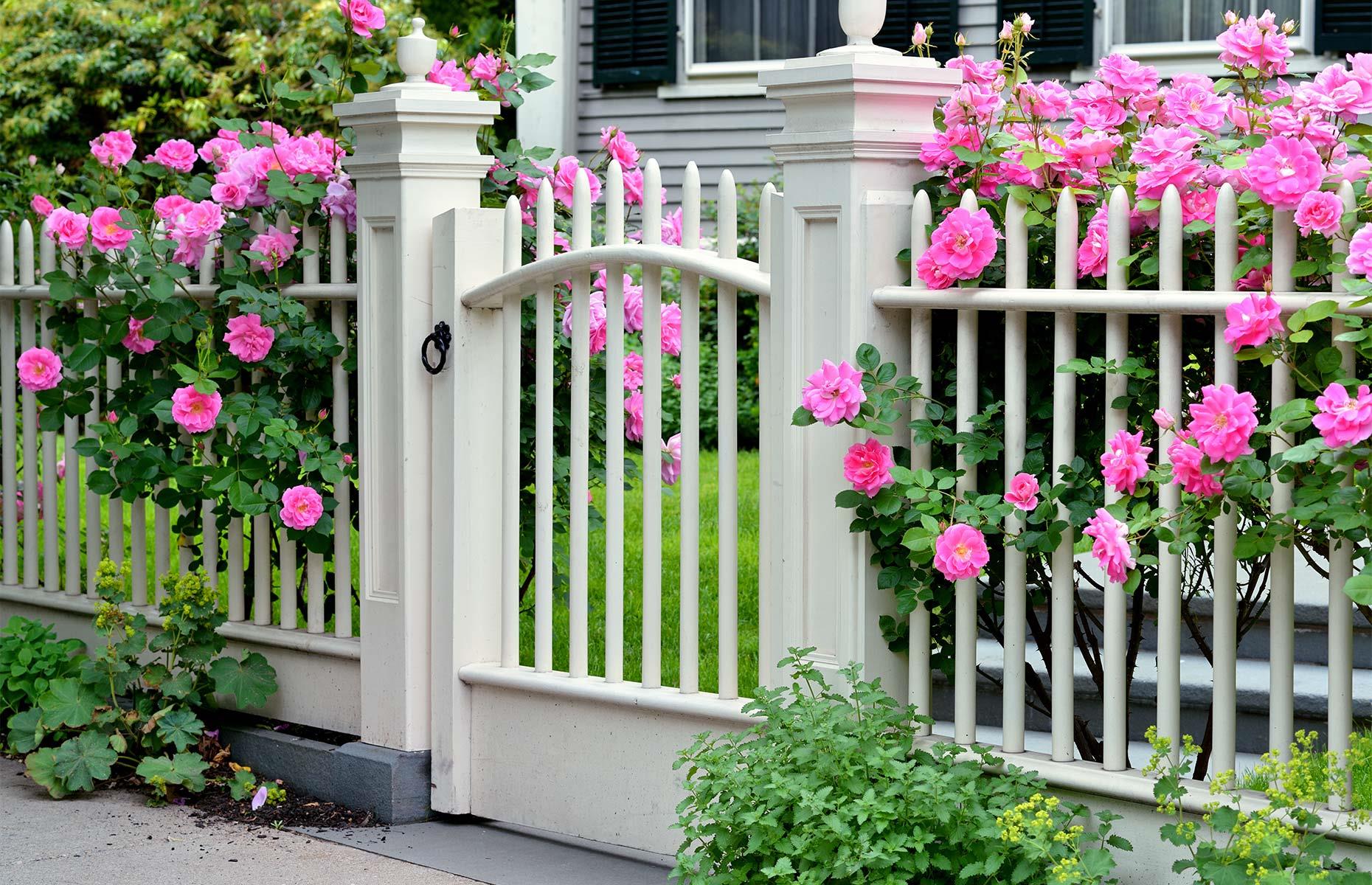 Make boundary lines attractive