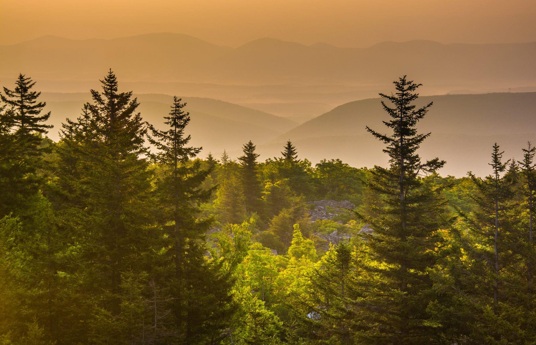 30. Monongahela National Forest, West Virginia