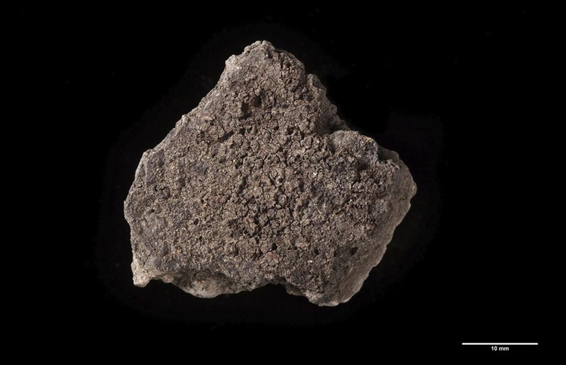 Burned Neolithic porridge, Germany