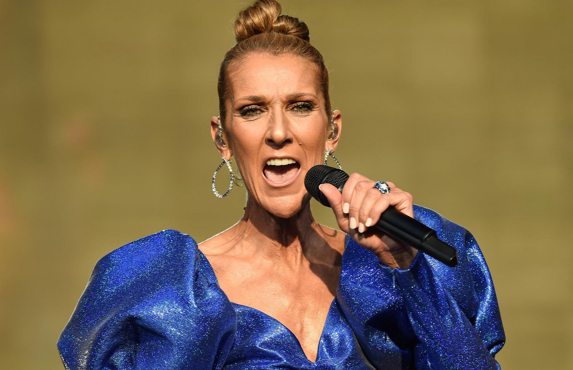 Céline Dion – € 430 Millionen 