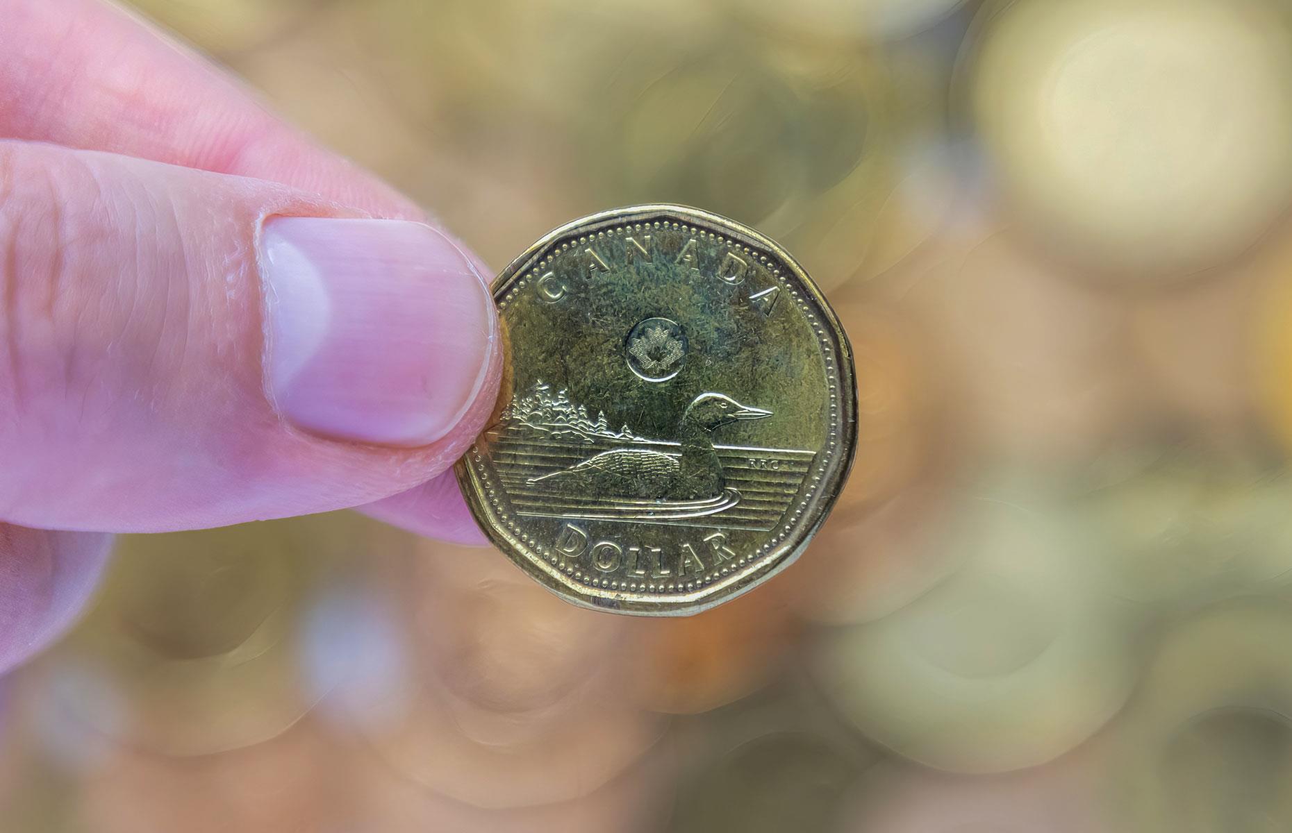 Canada's currency is nicknamed the loonie