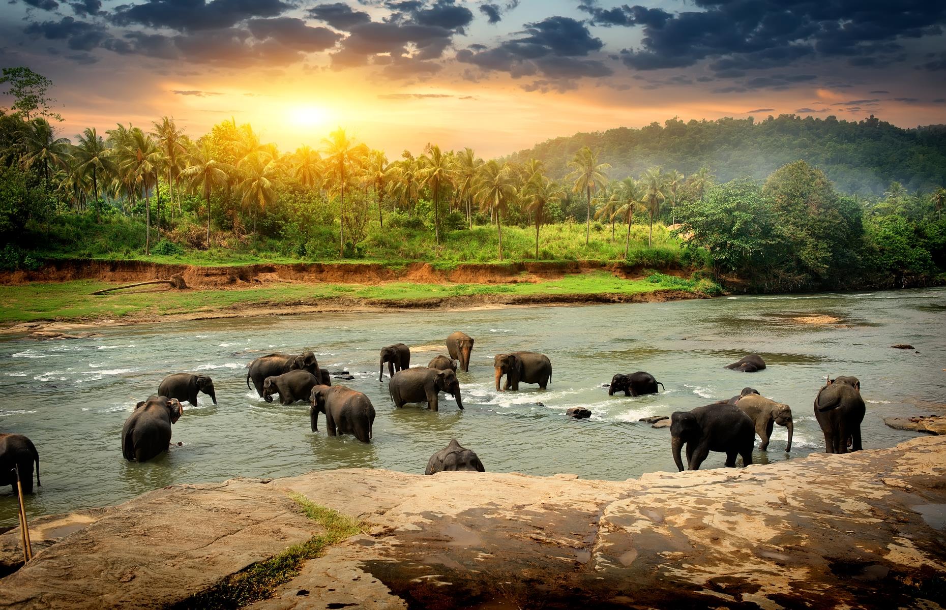 Sri Lanka