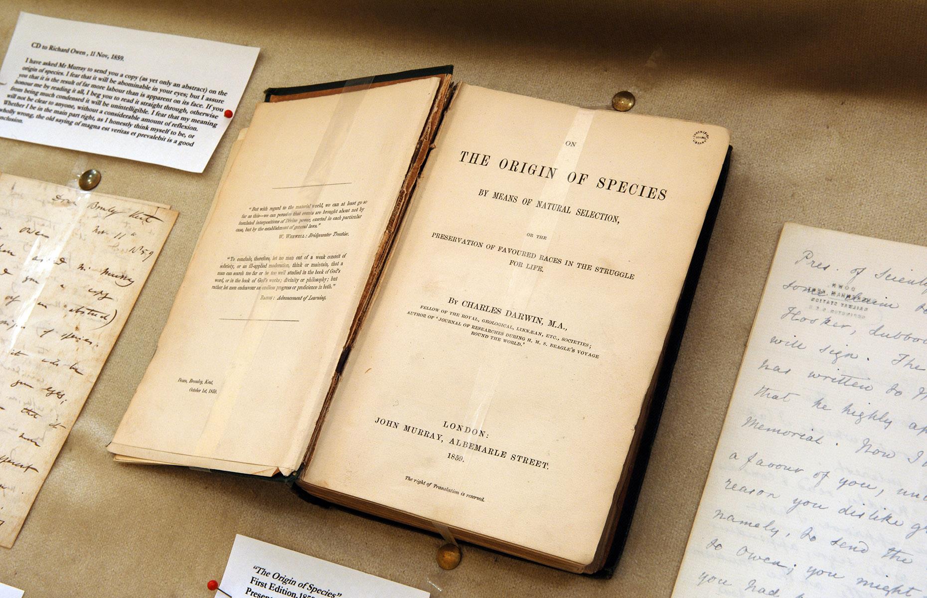 Charles Darwin coined the phrase 'survival of the fittest'