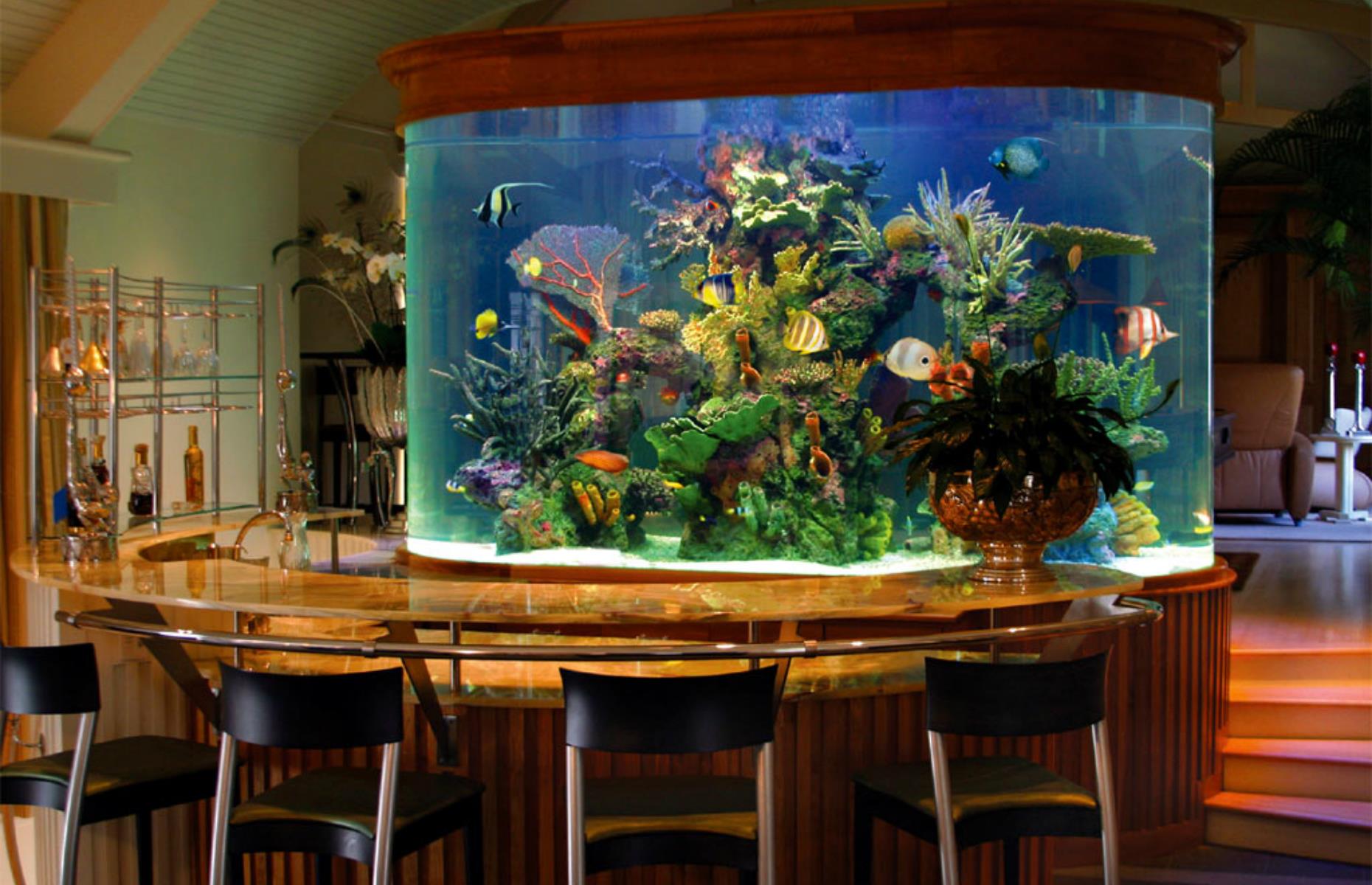 Amazing aquariums only millionaires can afford