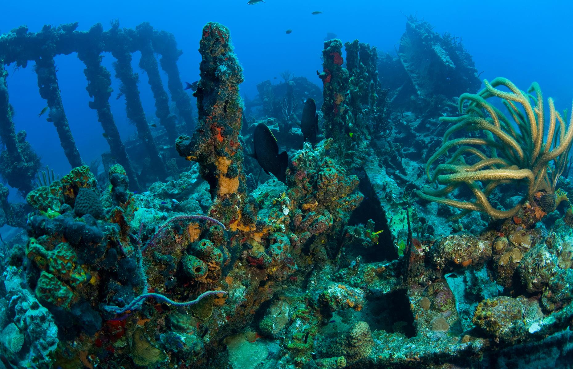 RMS Rhone (sank in 1867)
