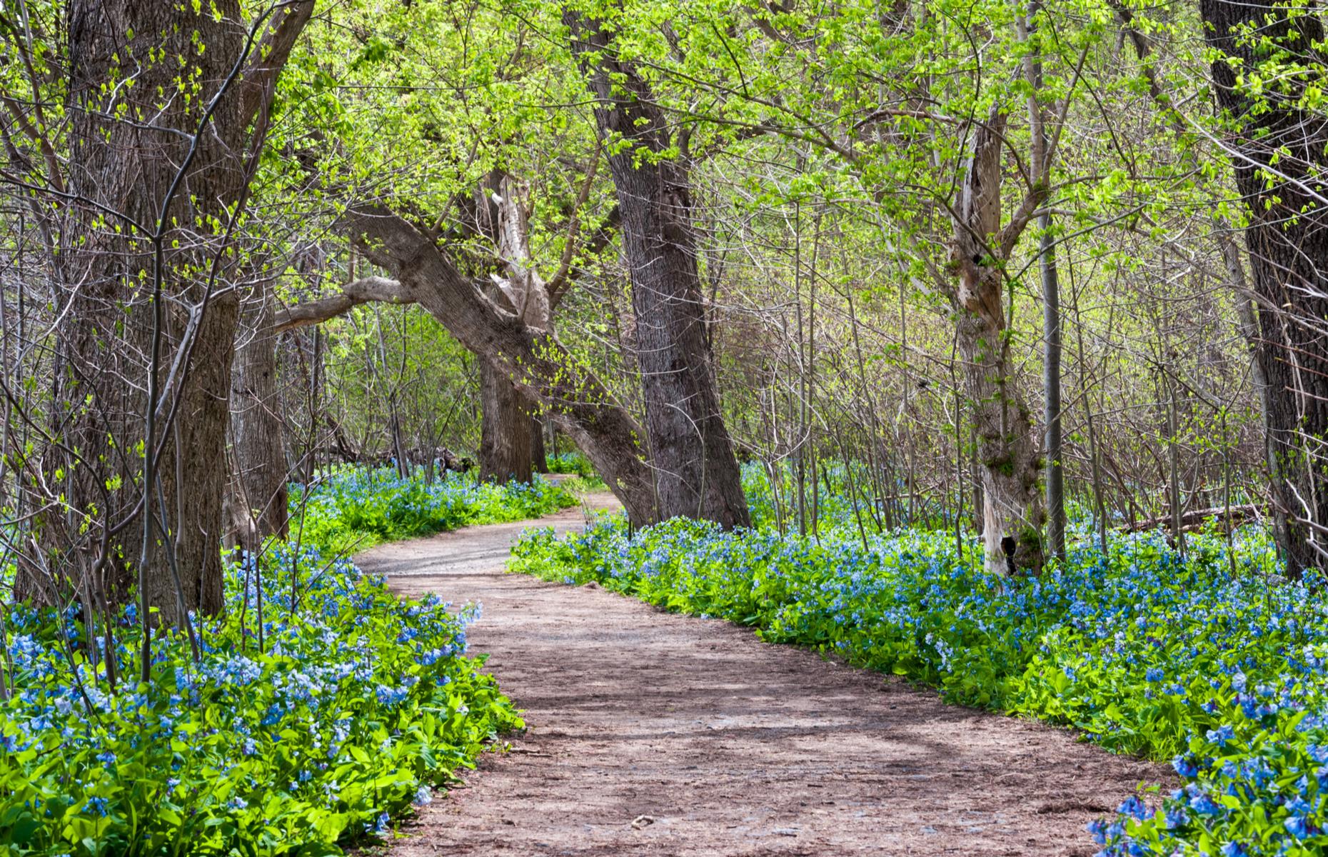 Potomac Heritage Trail