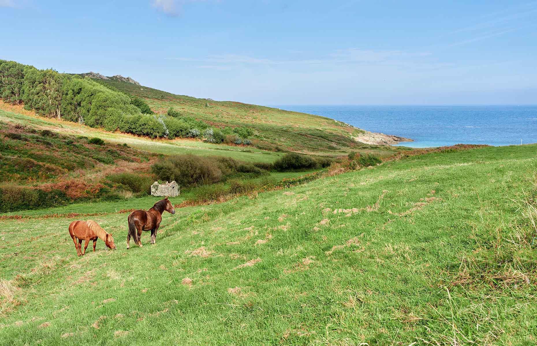 Galicia, Spain
