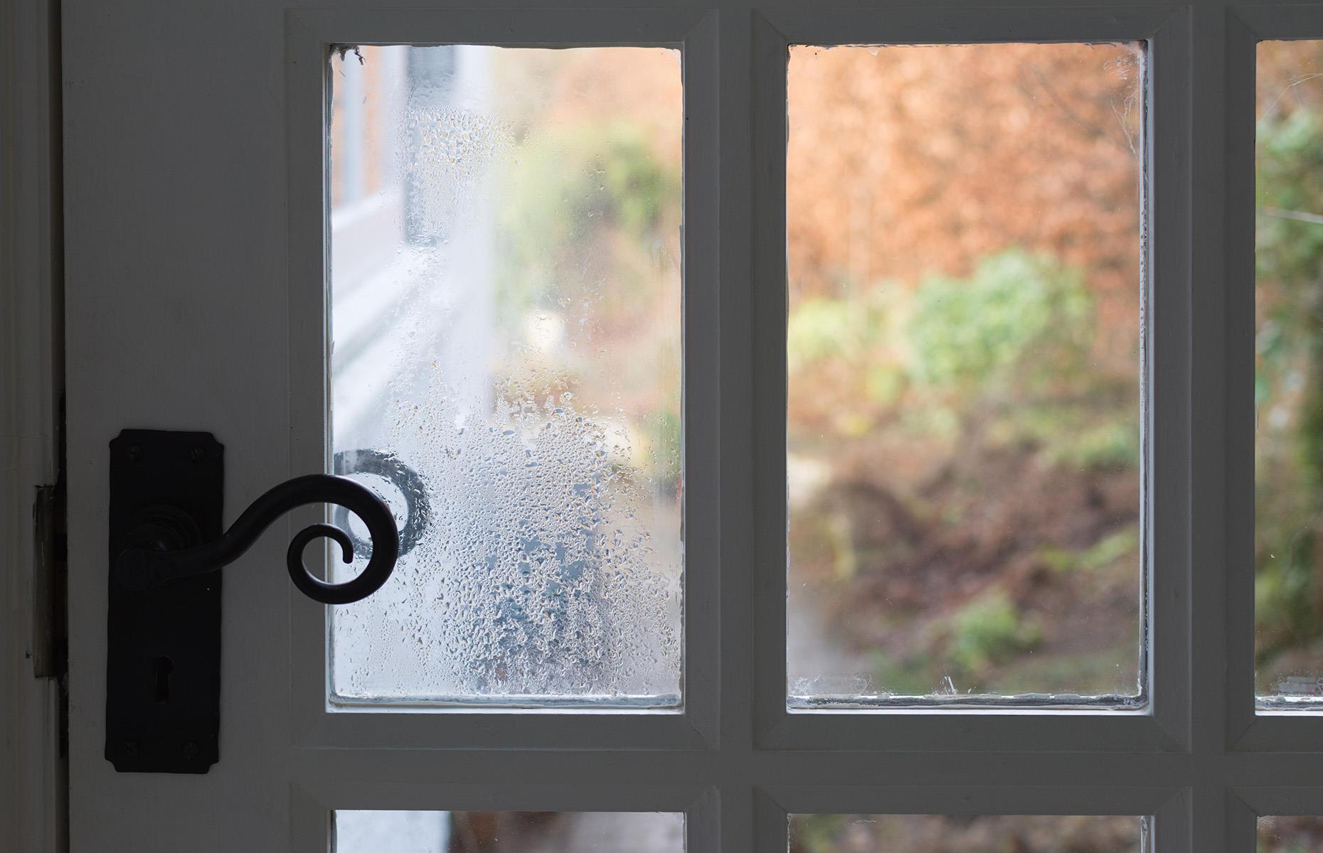 What causes mould?