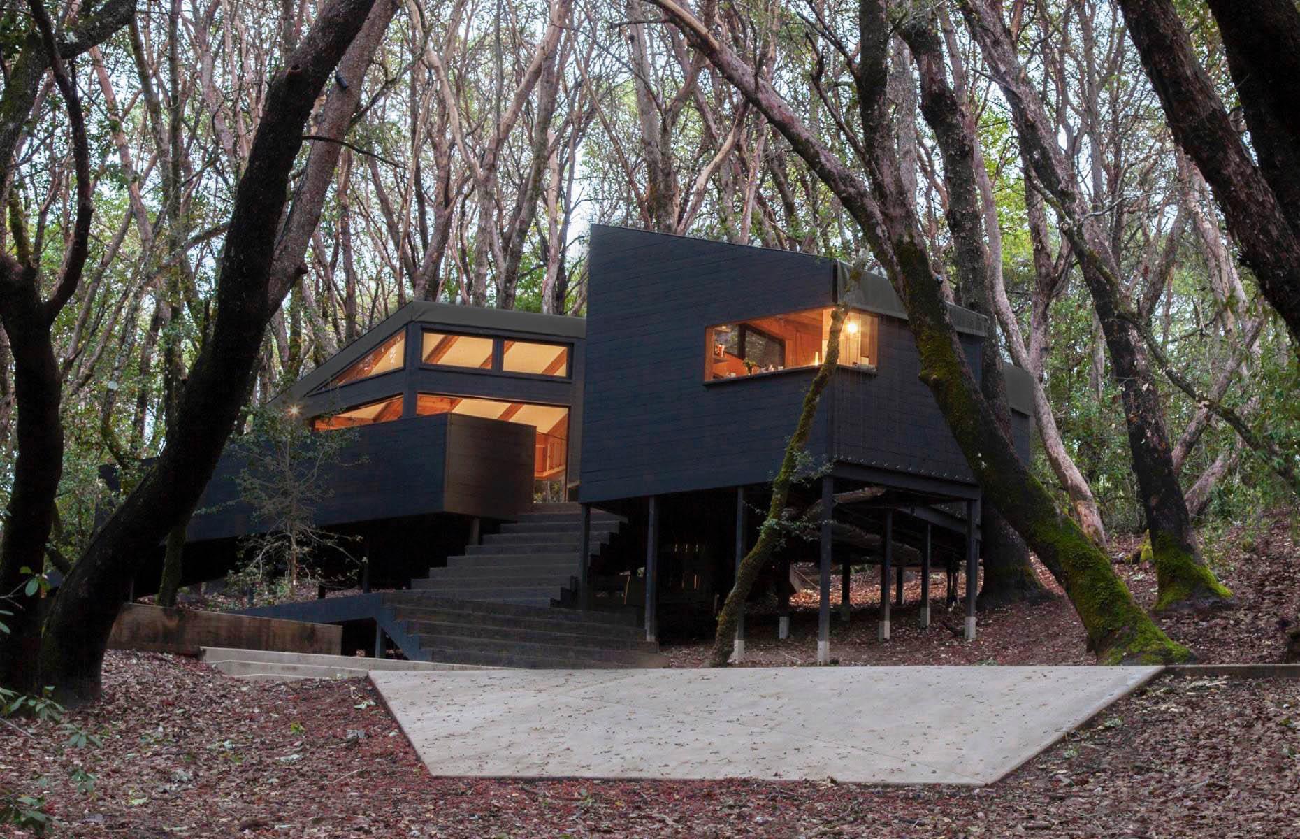 The Forest House, California, USA