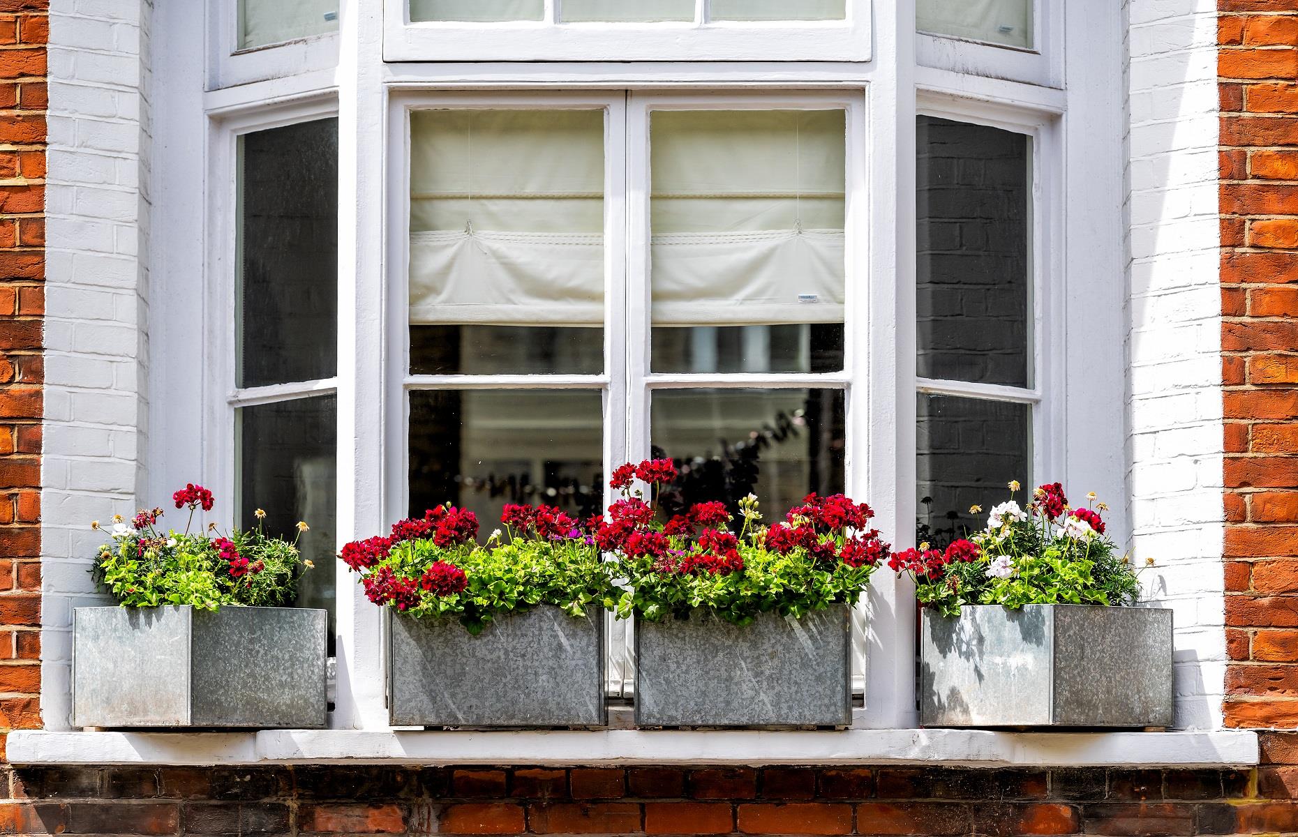 Window types: British