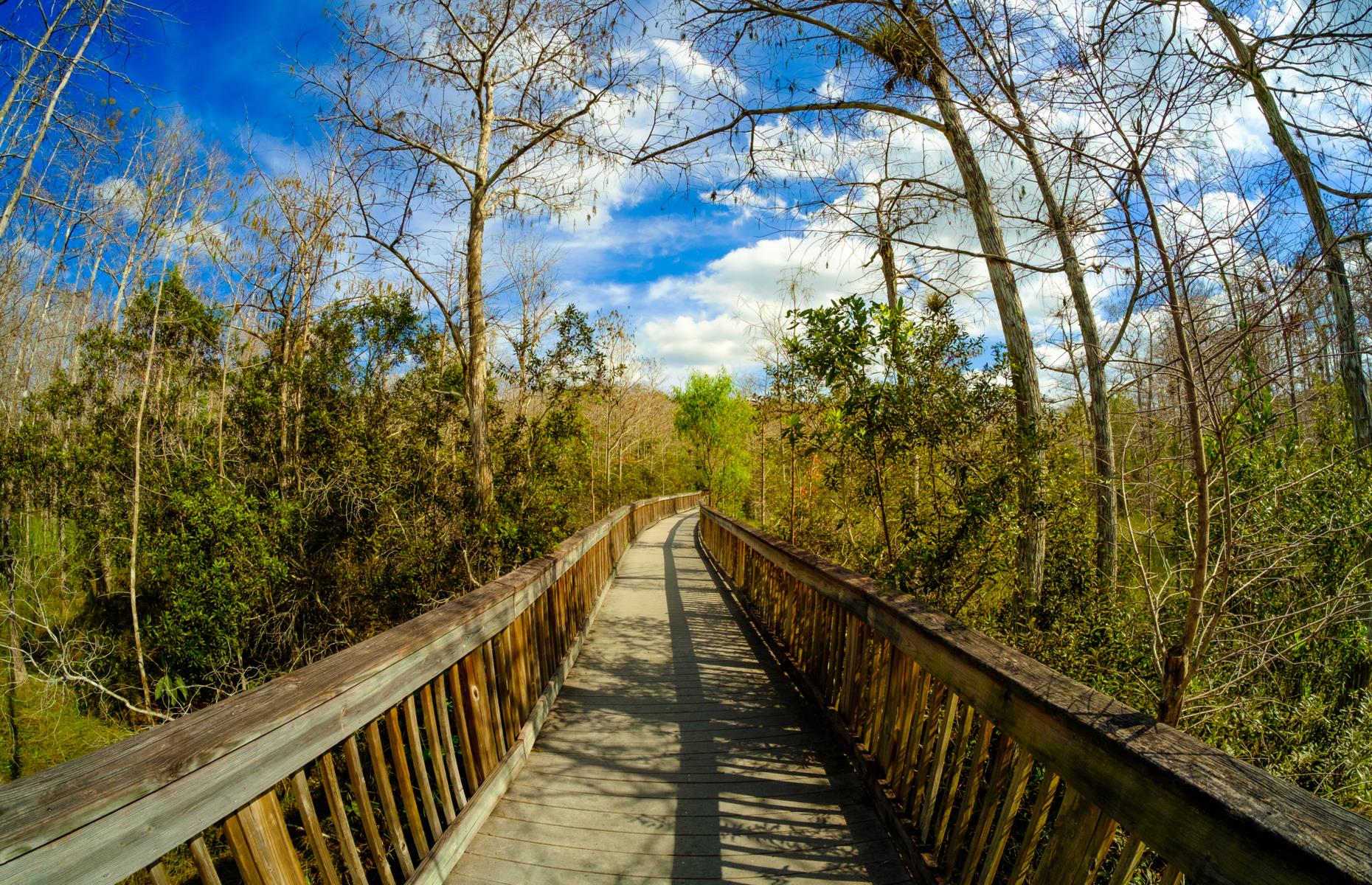 Florida Trail