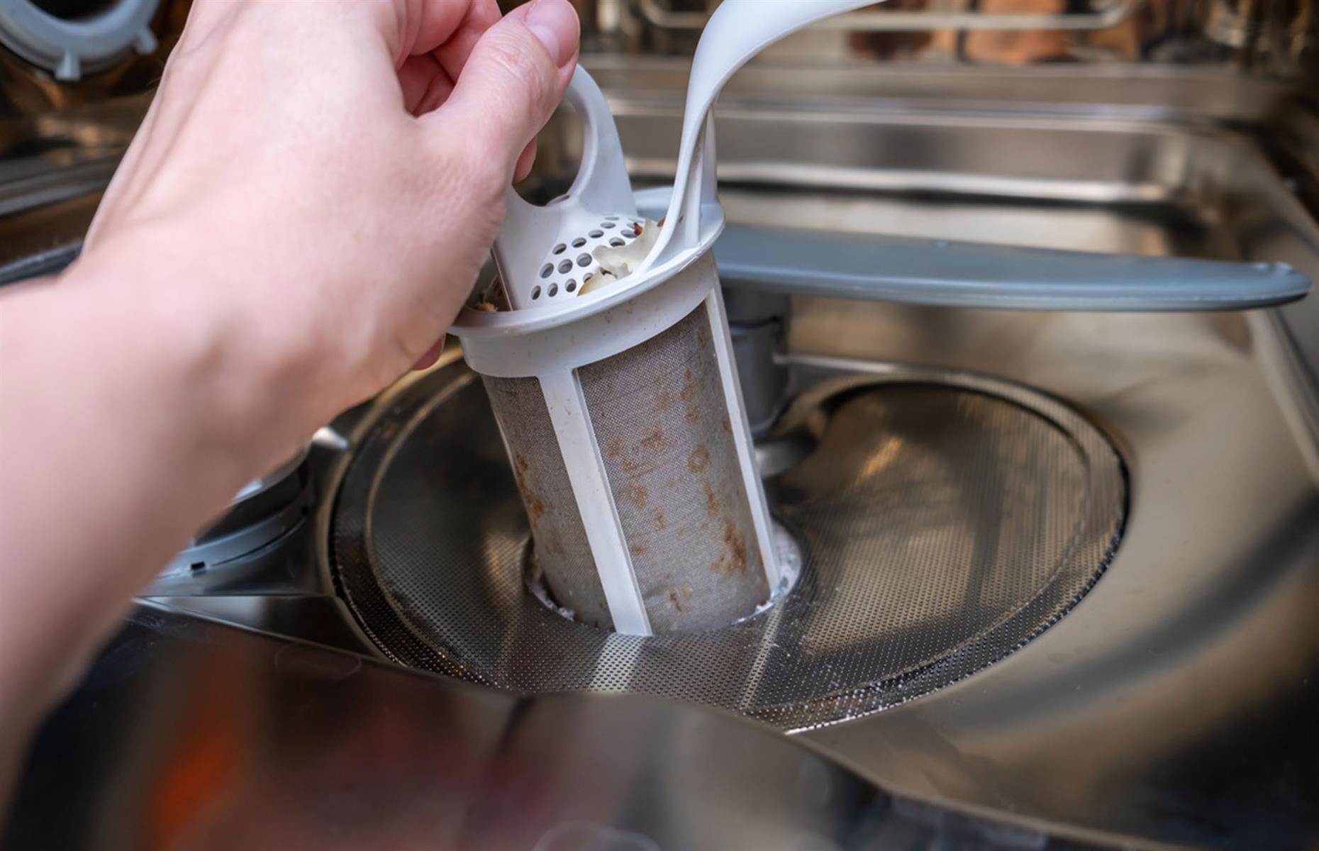 Deep clean the dishwasher