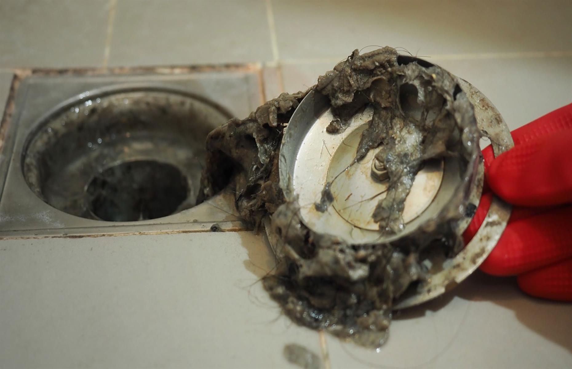 Sanitise shower drains