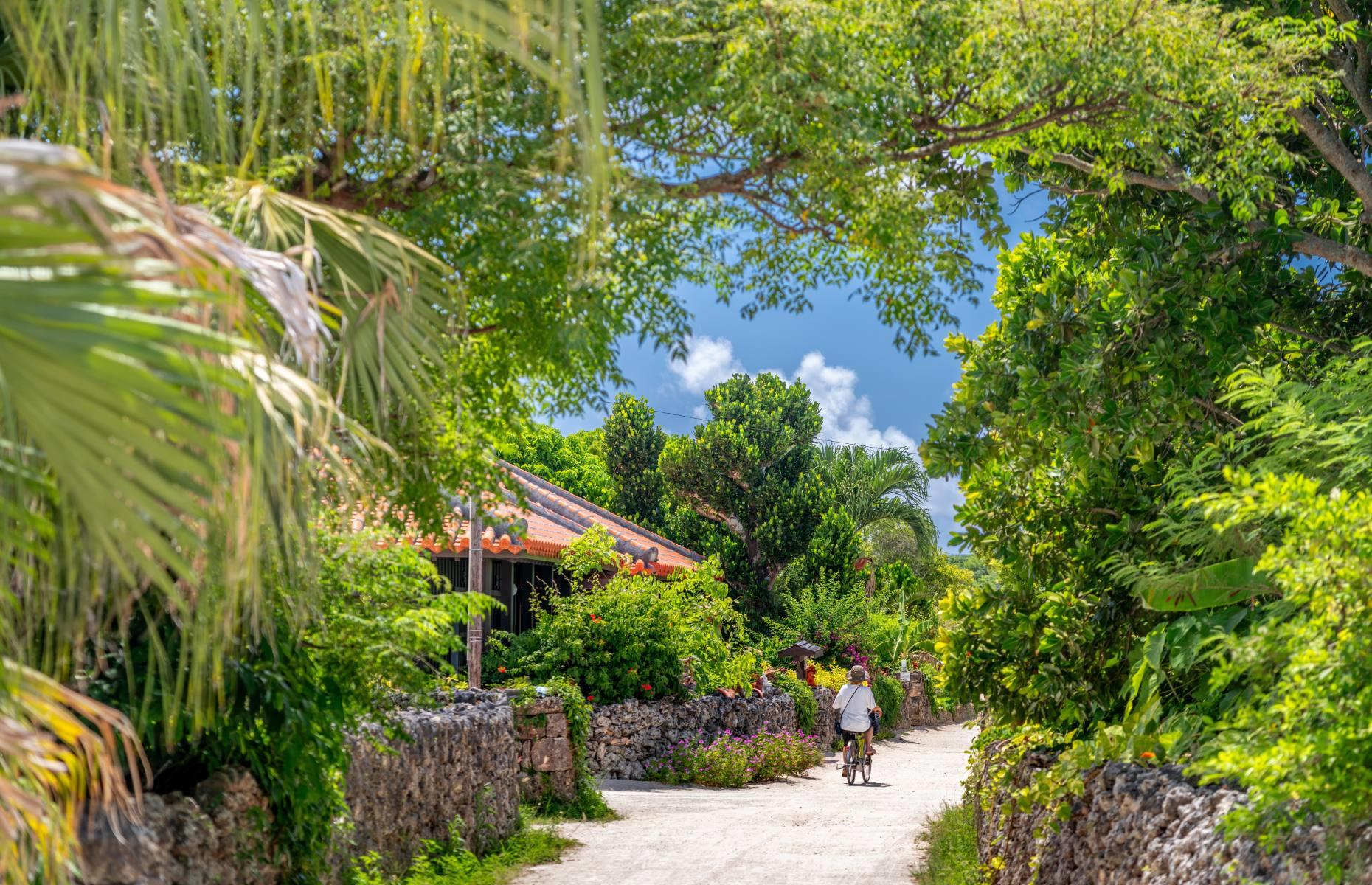 Blaue Zone: Okinawa-Inseln in Japan