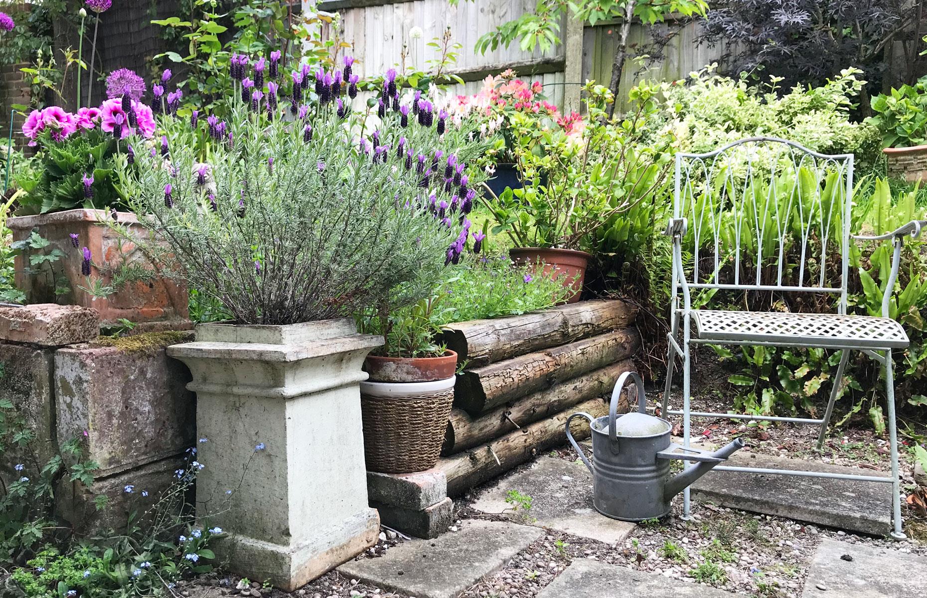 Plant in vintage chimney pots