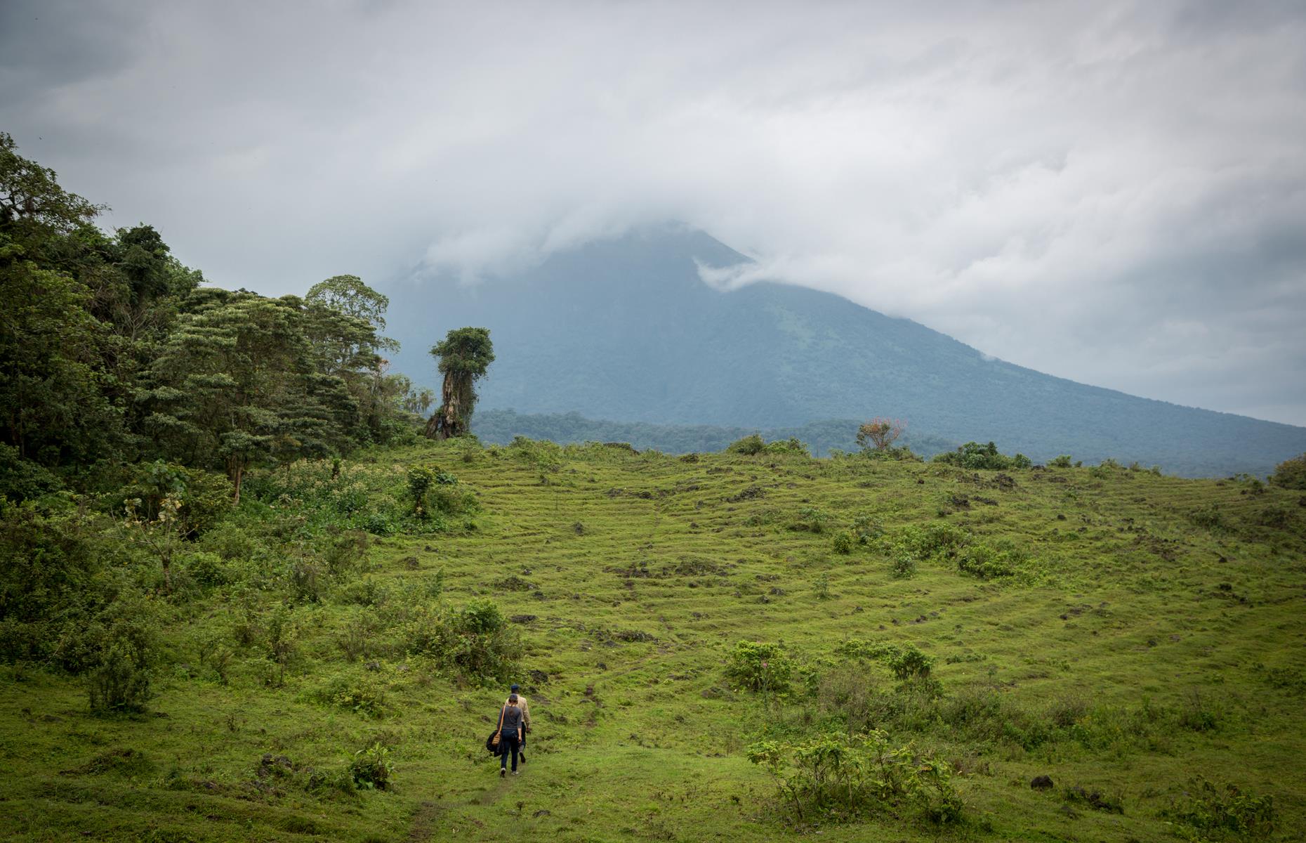 Democratic Republic of the Congo