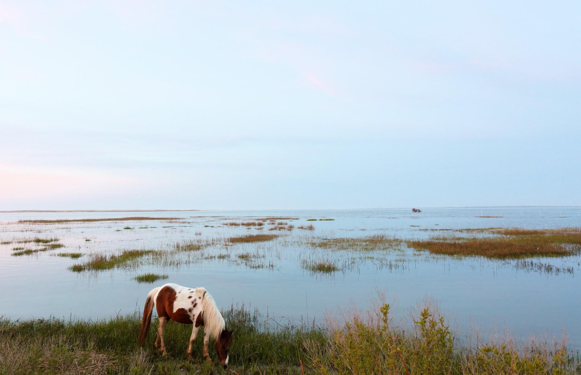 9. Chincoteague, Accomack County