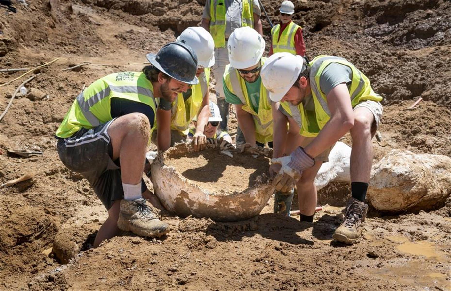 Unverhoffte Sensationsfunde auf Baustellen
