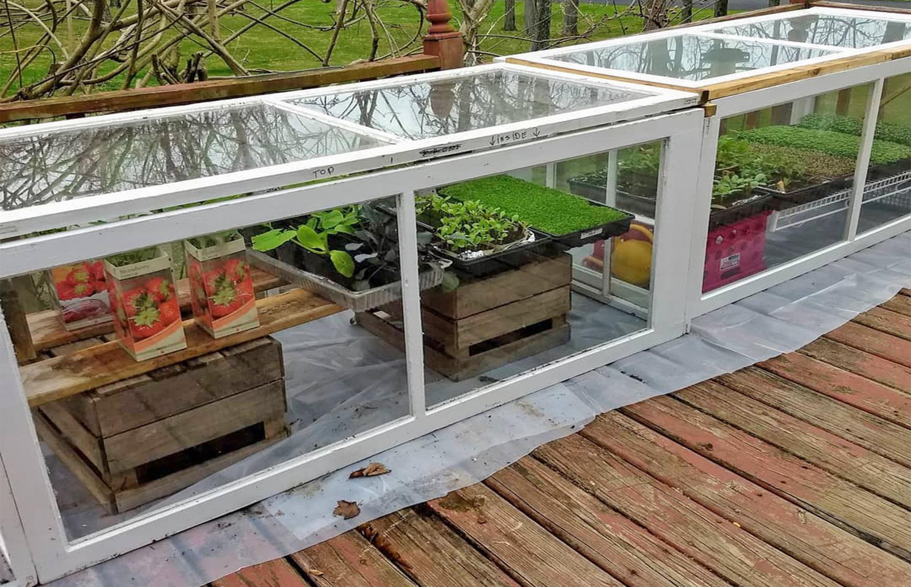 Make a cold frame