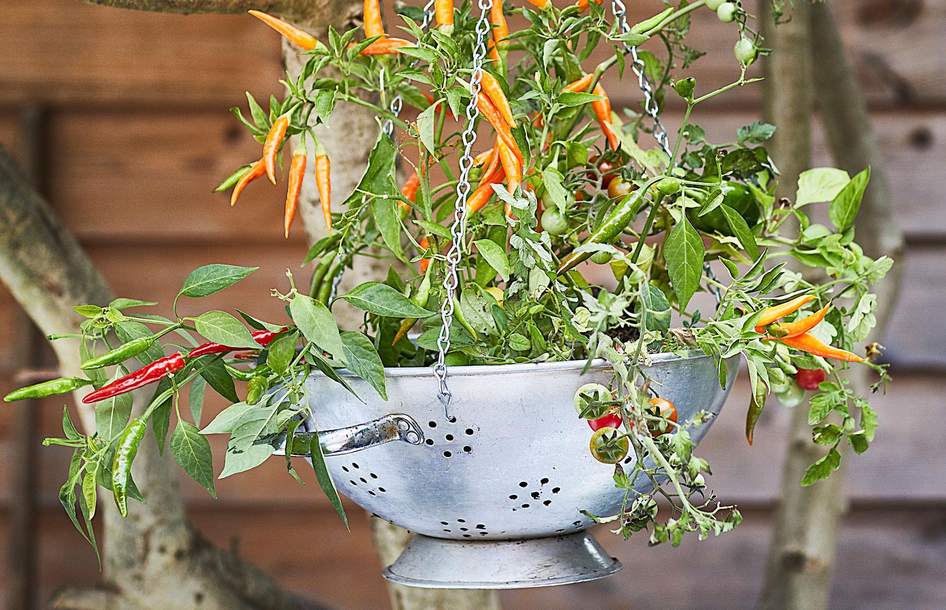 Upcycle homewares
