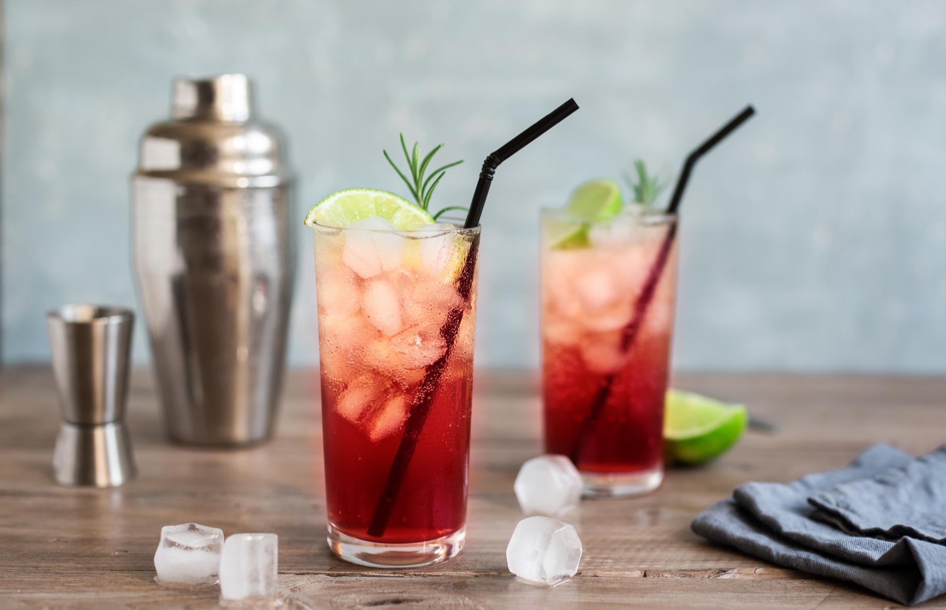 Sloe gin fizz