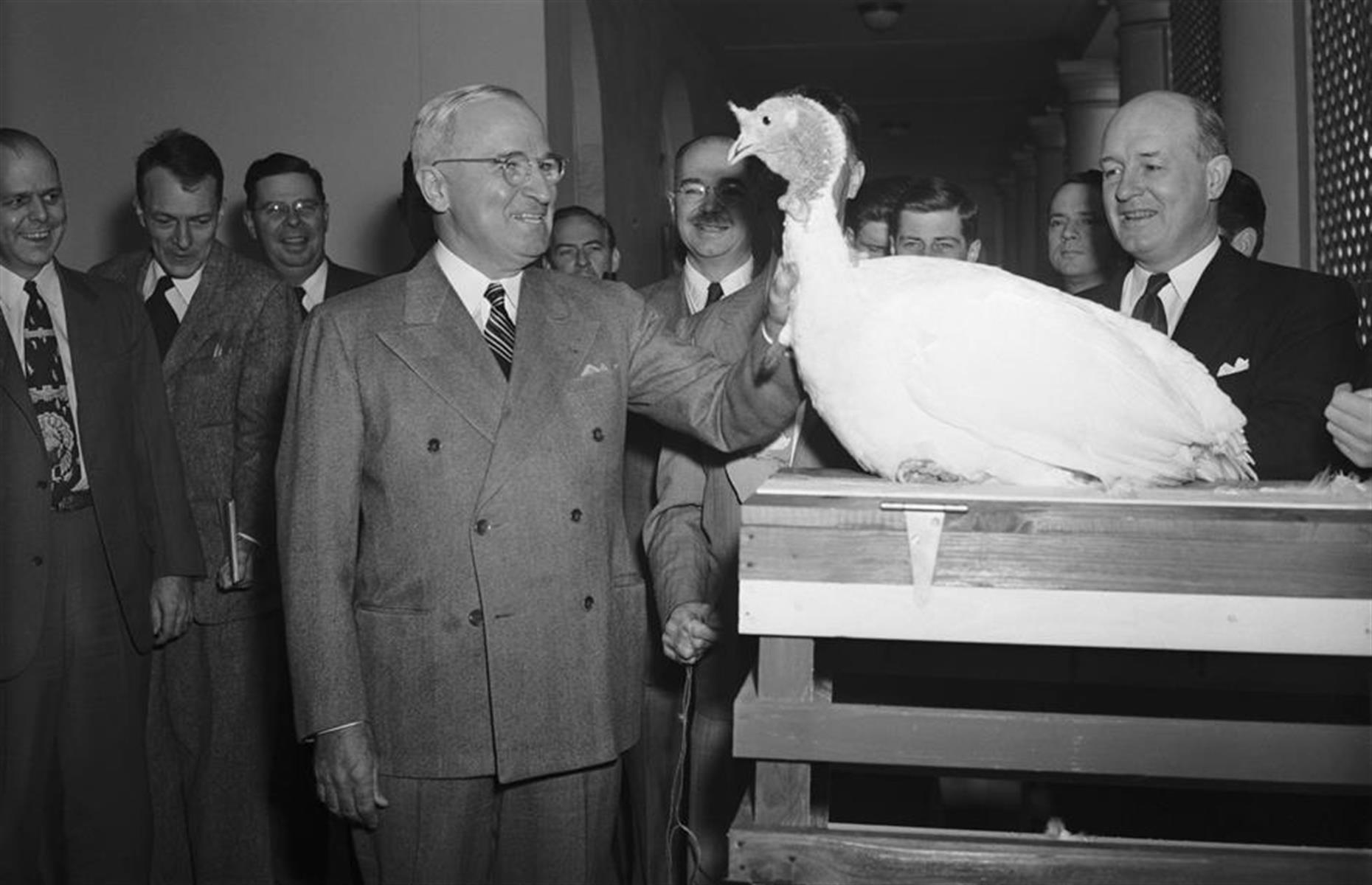 1940s: battle of the birds