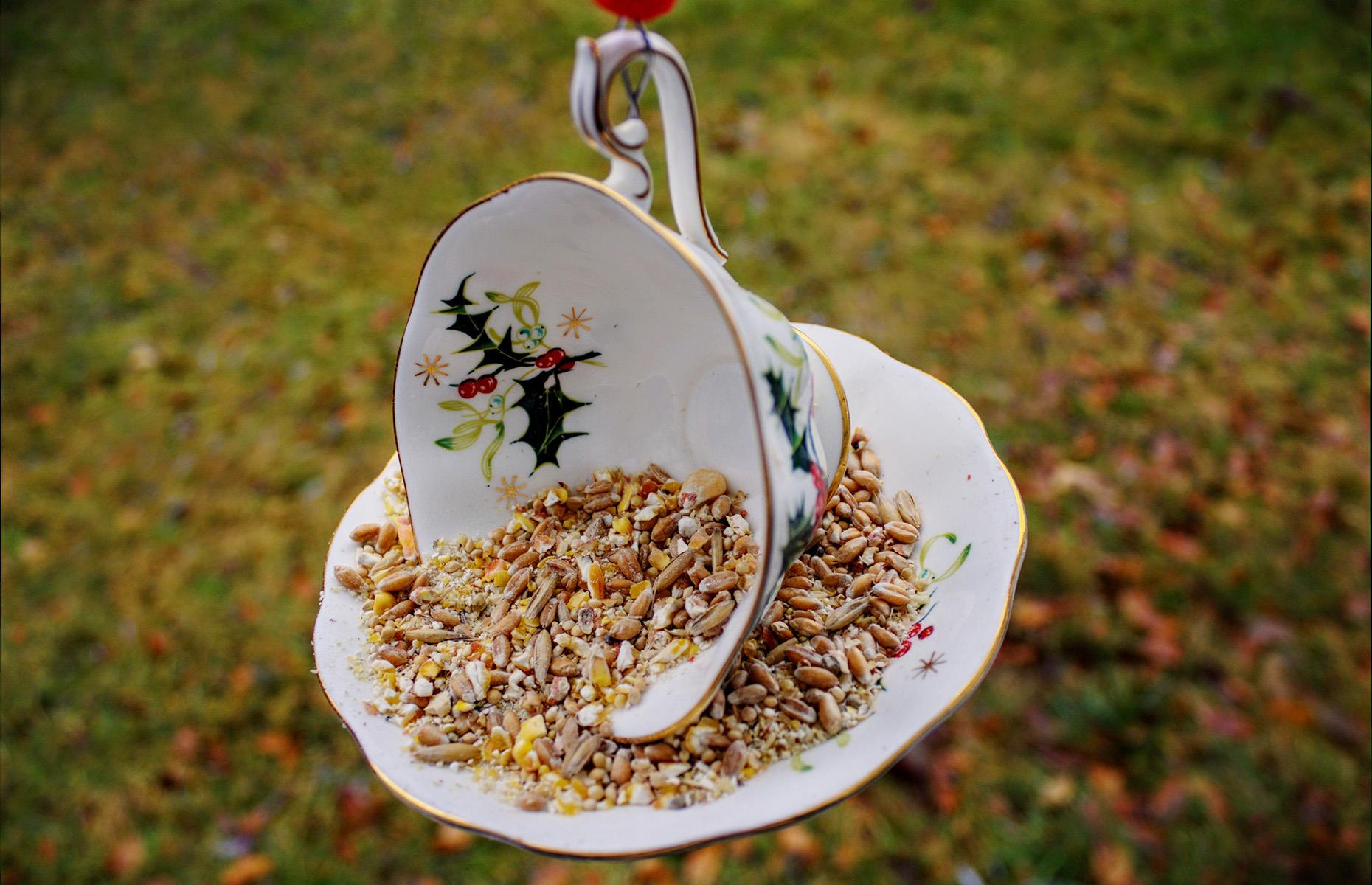 Teacup bird feeders
