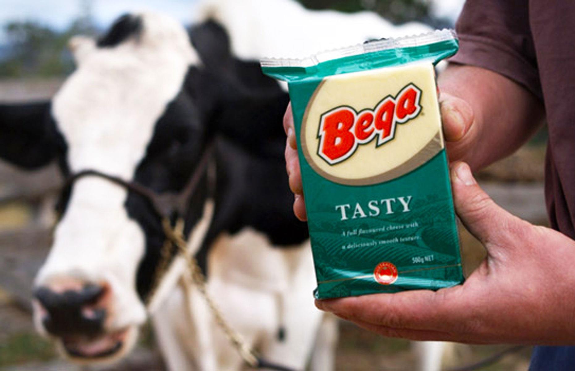 Bega Cheese (ASX: BGA): 248% return