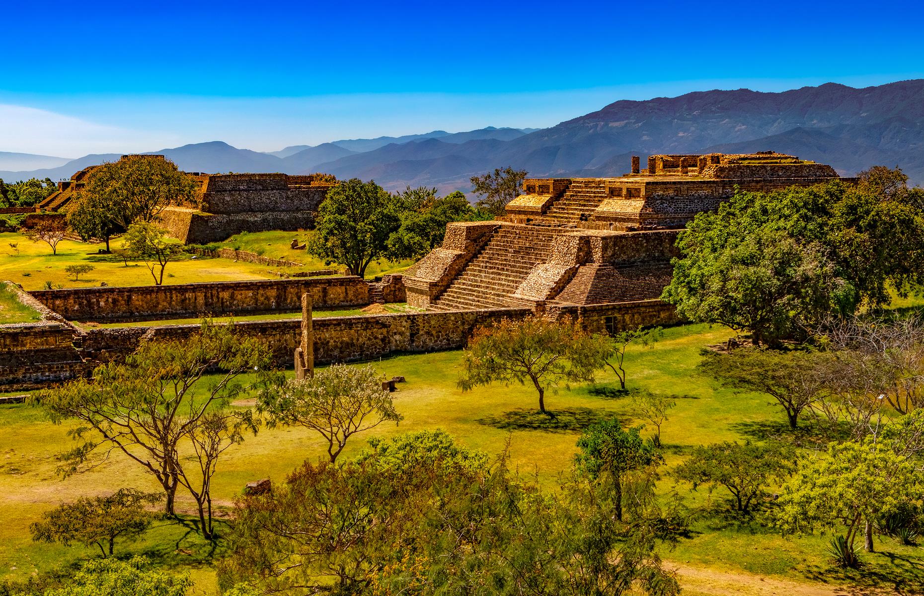 Monte Albán, Mexico: Coco