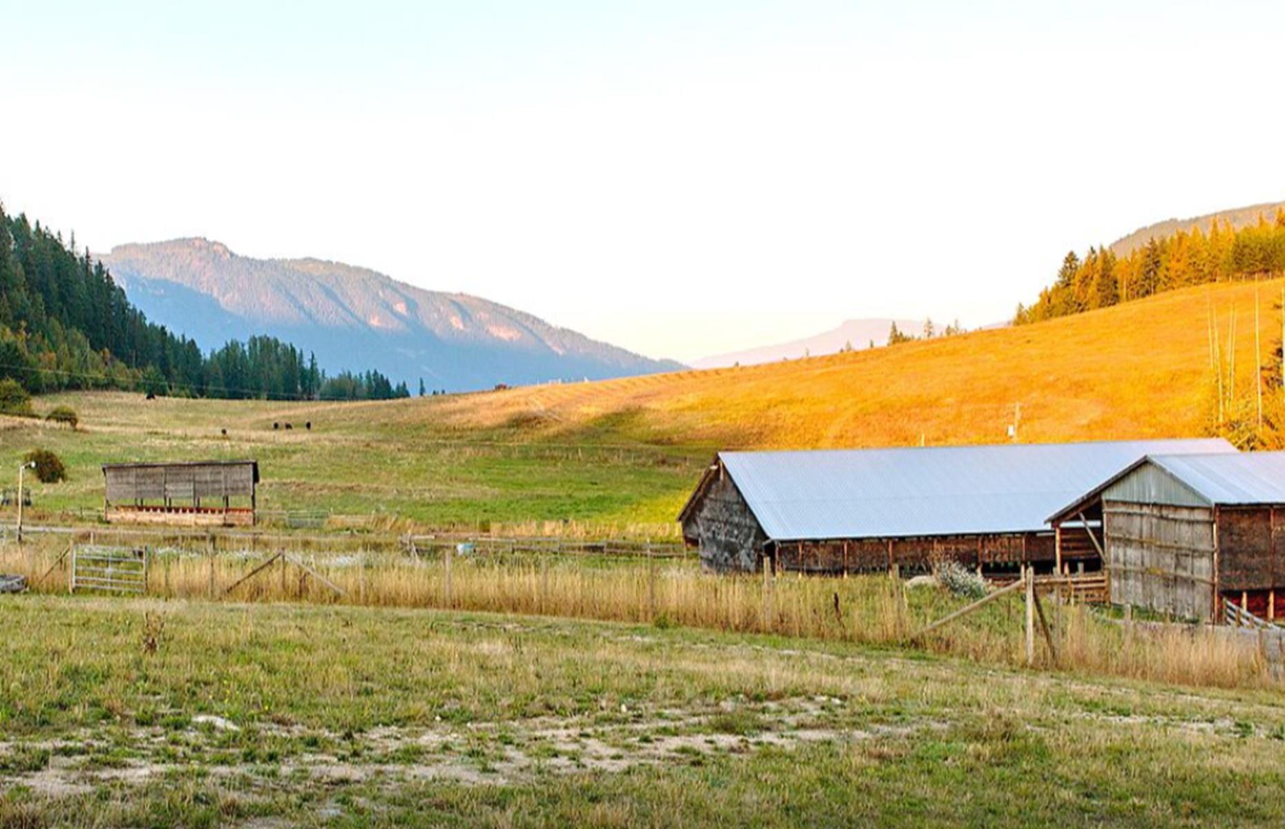 73-acre (30ha) sanctuary: expansive pastures