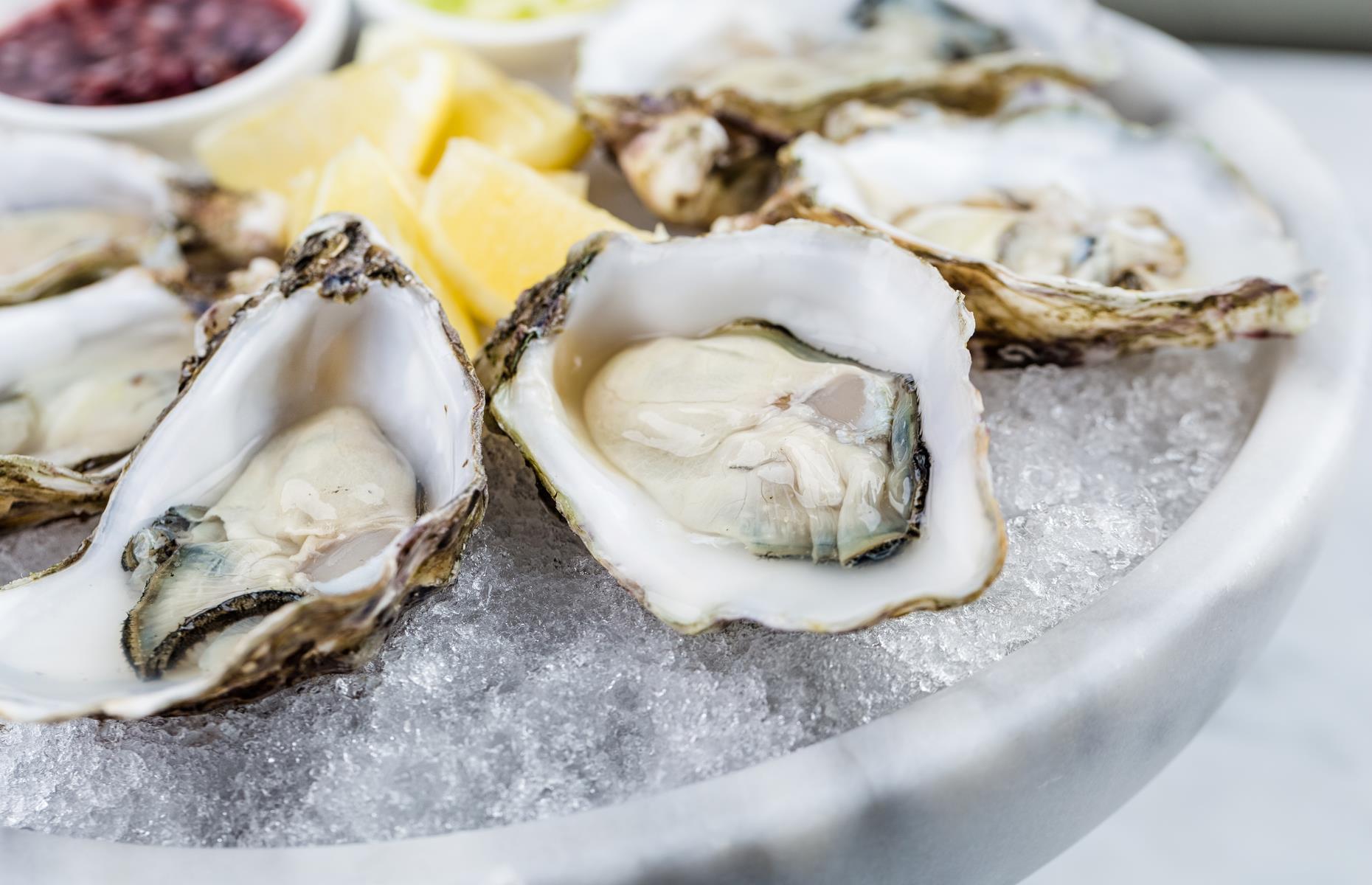 Oysters