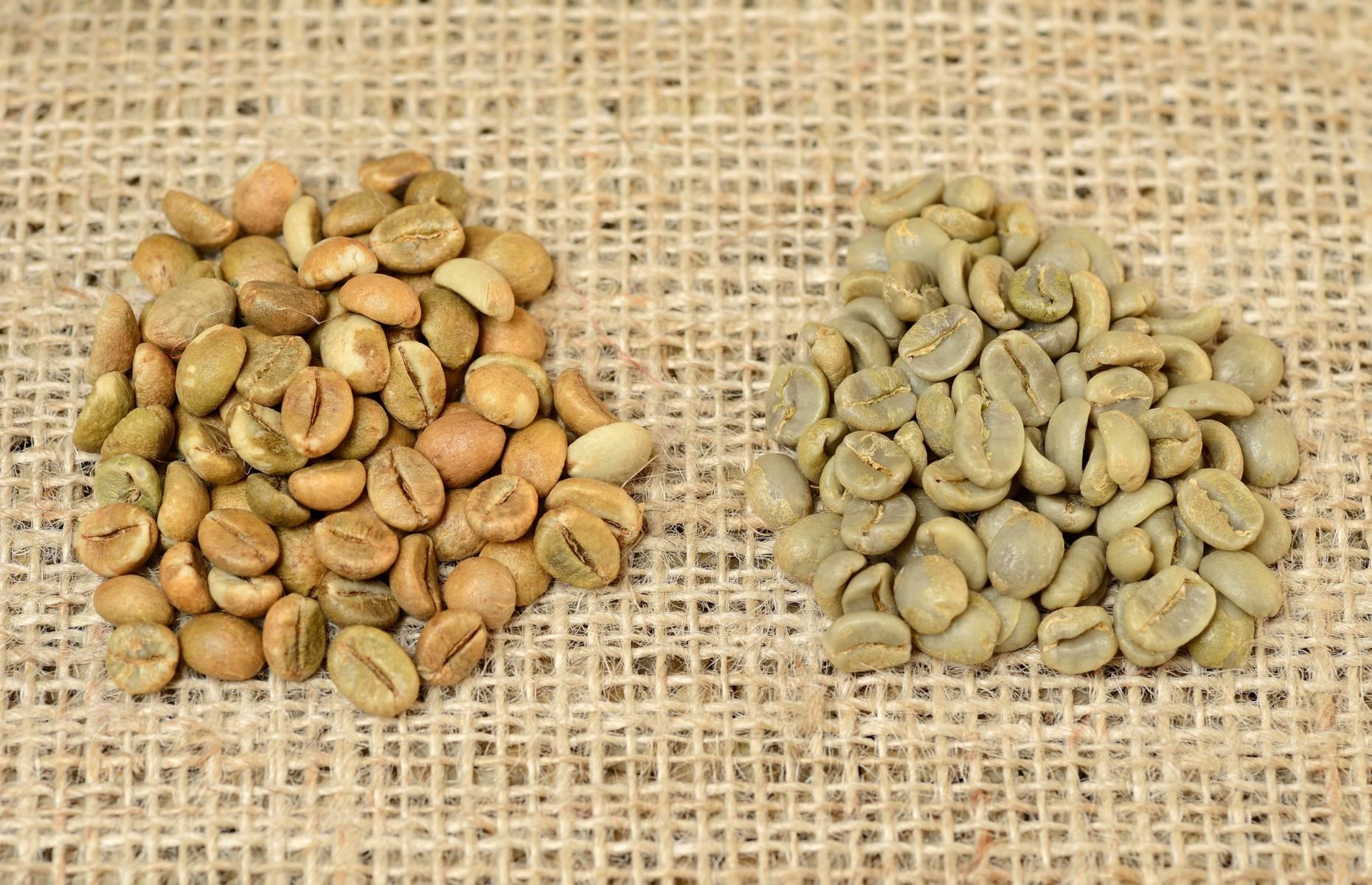There are two main types: arabica and robusta