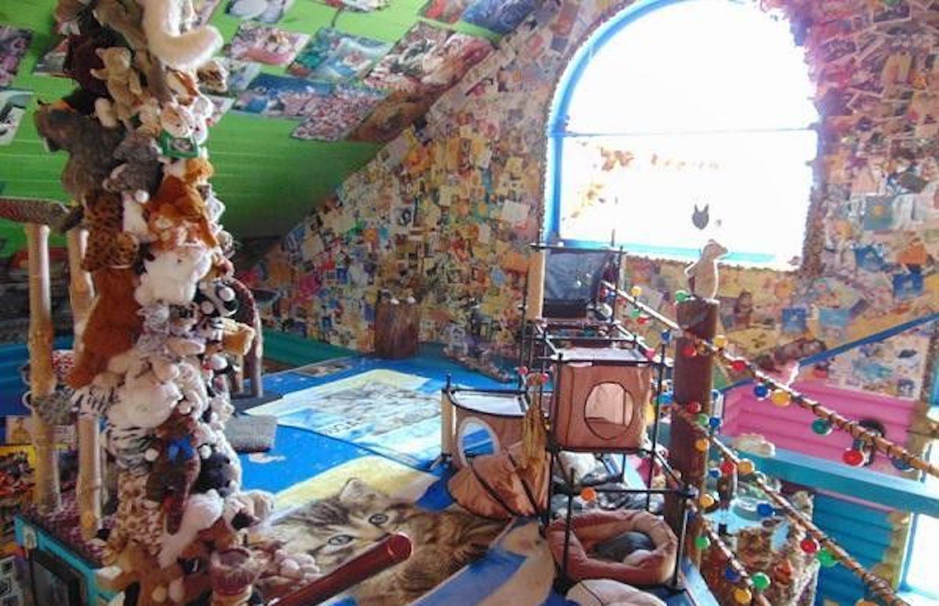 Cat-themed log home, Arizona, USA