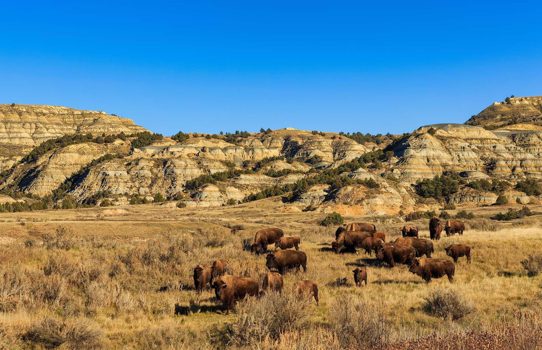 Scenic drive, Theodore Roosevelt National Park, North Dakota