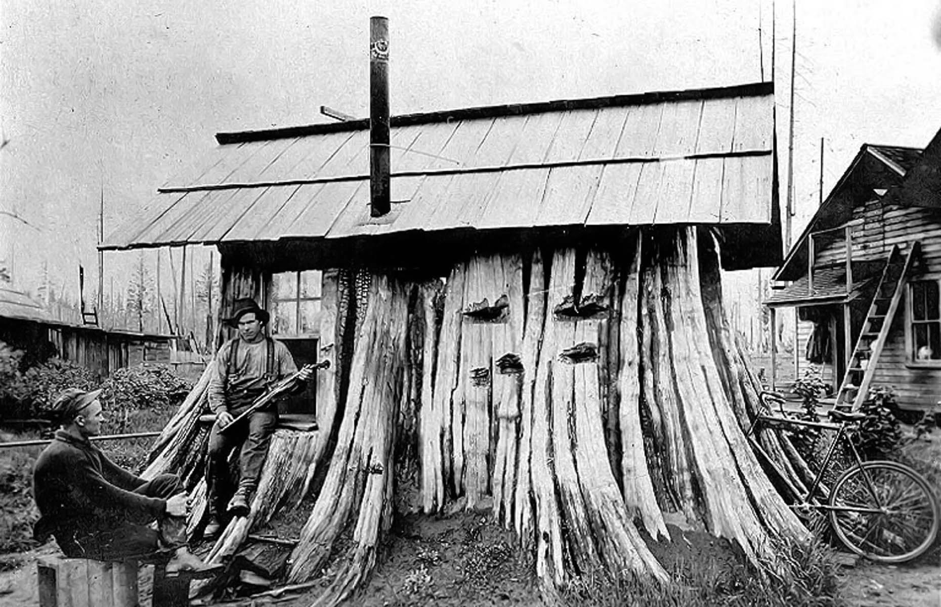 Una casa de troncos de cedro, Washington, 1901