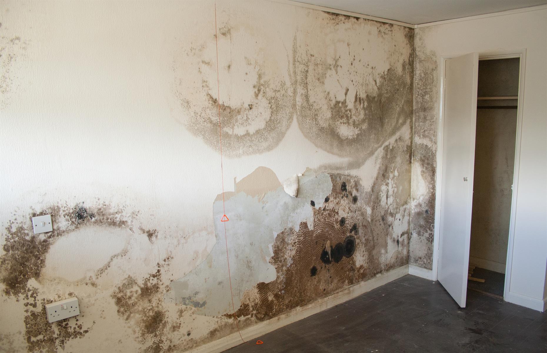 Dangerous damp
