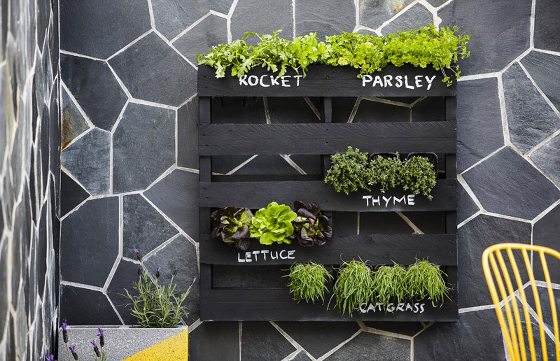 Show off a herb garden