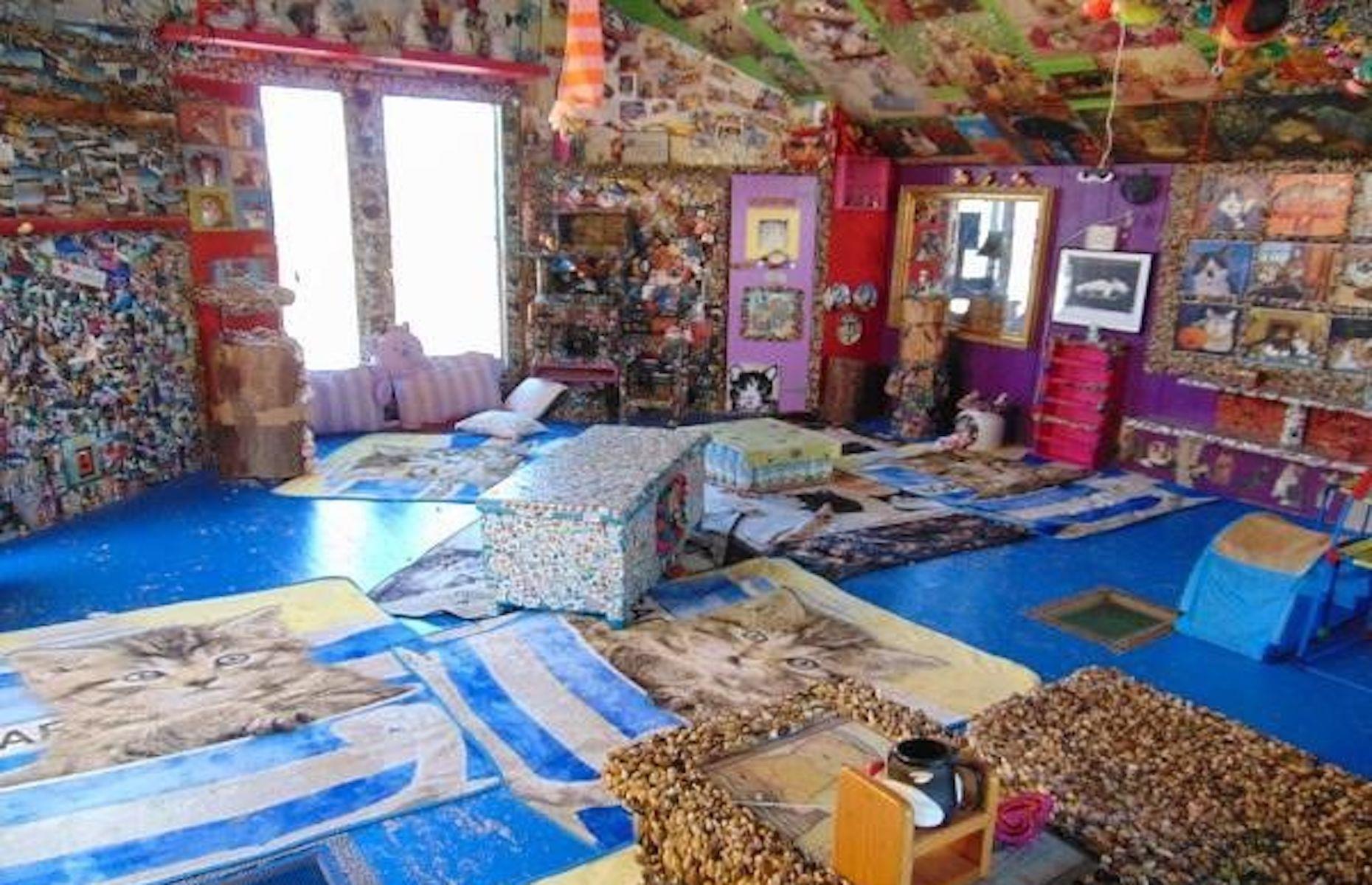 Cat-themed log home, Arizona, USA