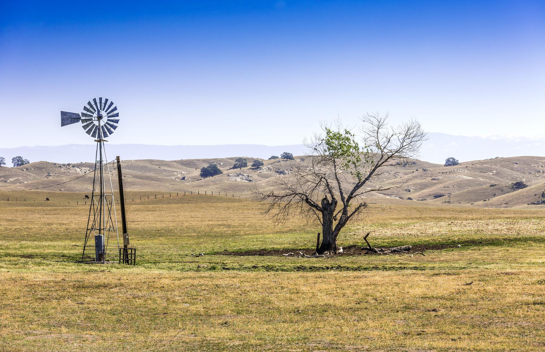 Over a third of the country is in drought 