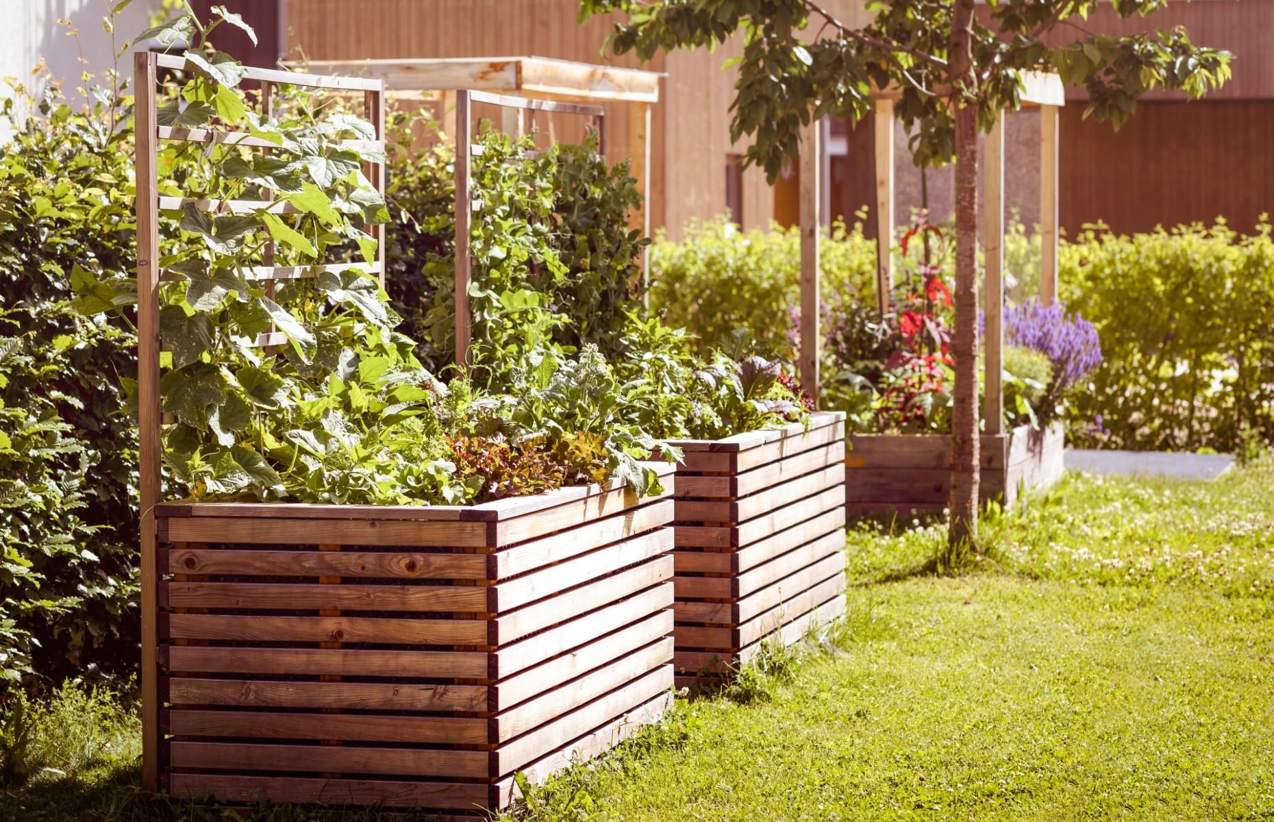 Make your own raised beds 