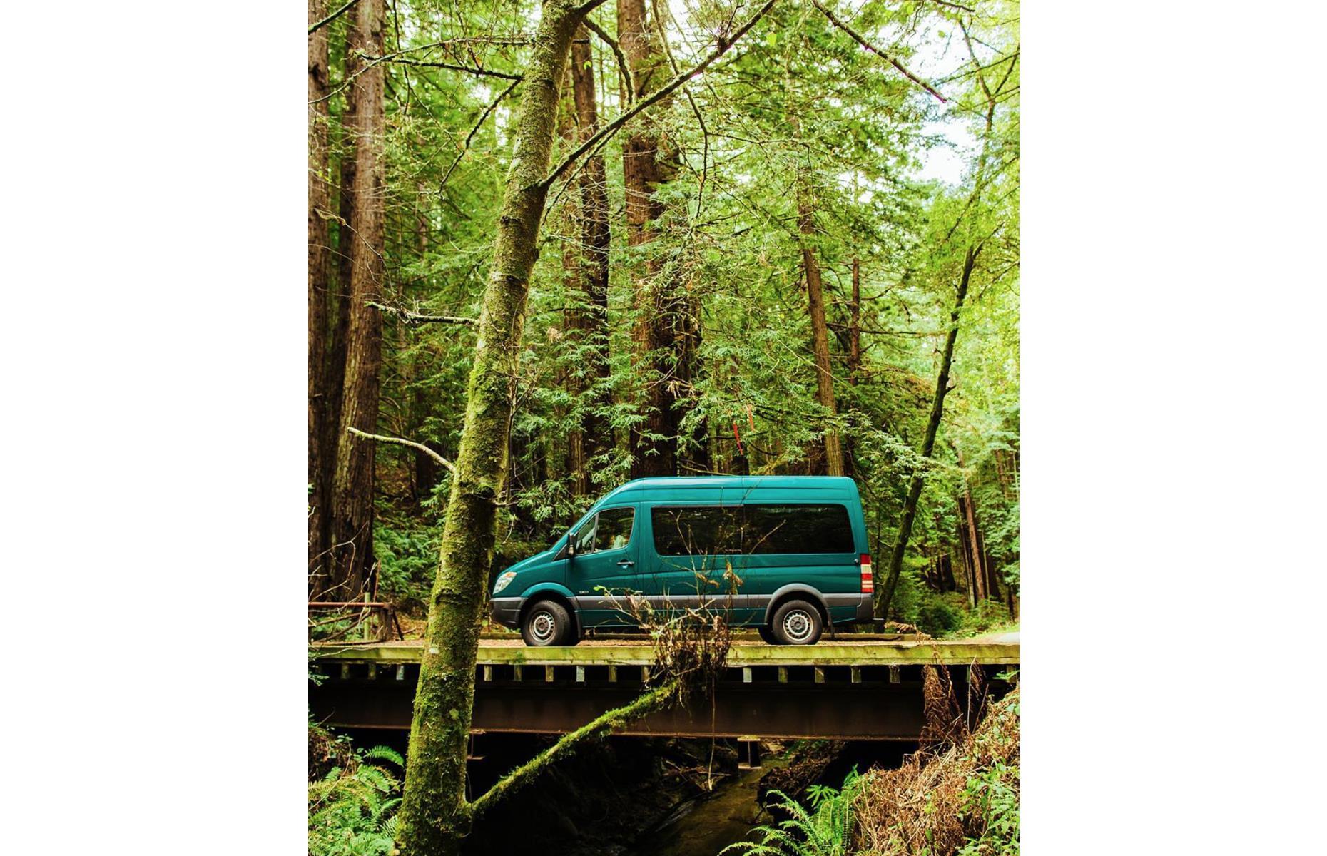 Surfer's 'vangalow', USA