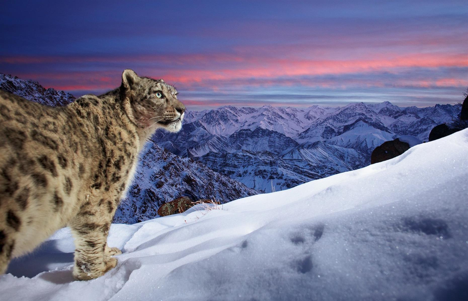 Top of the World