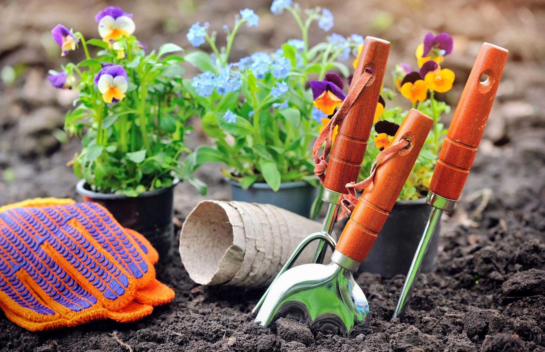 Invest in and maintain your tools