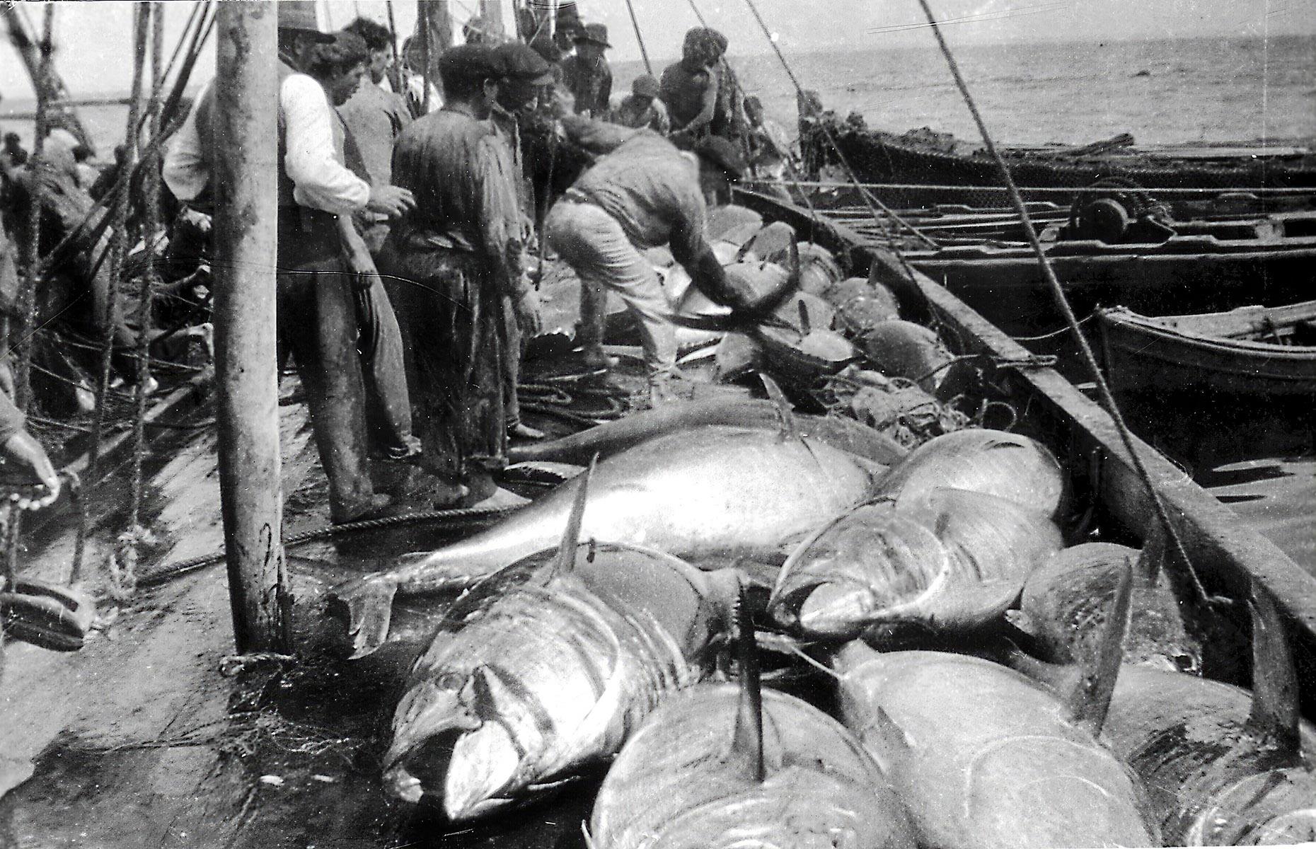 1899: Catching bluefin tuna, El Portil, Huelva
