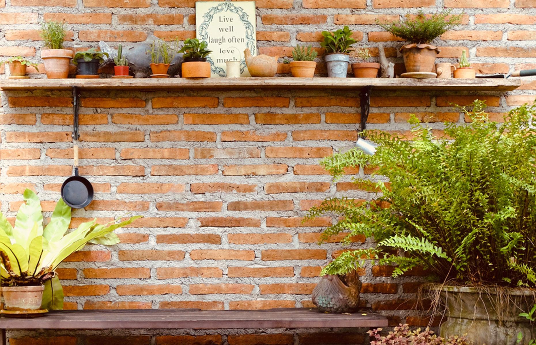 Go for garden shelves