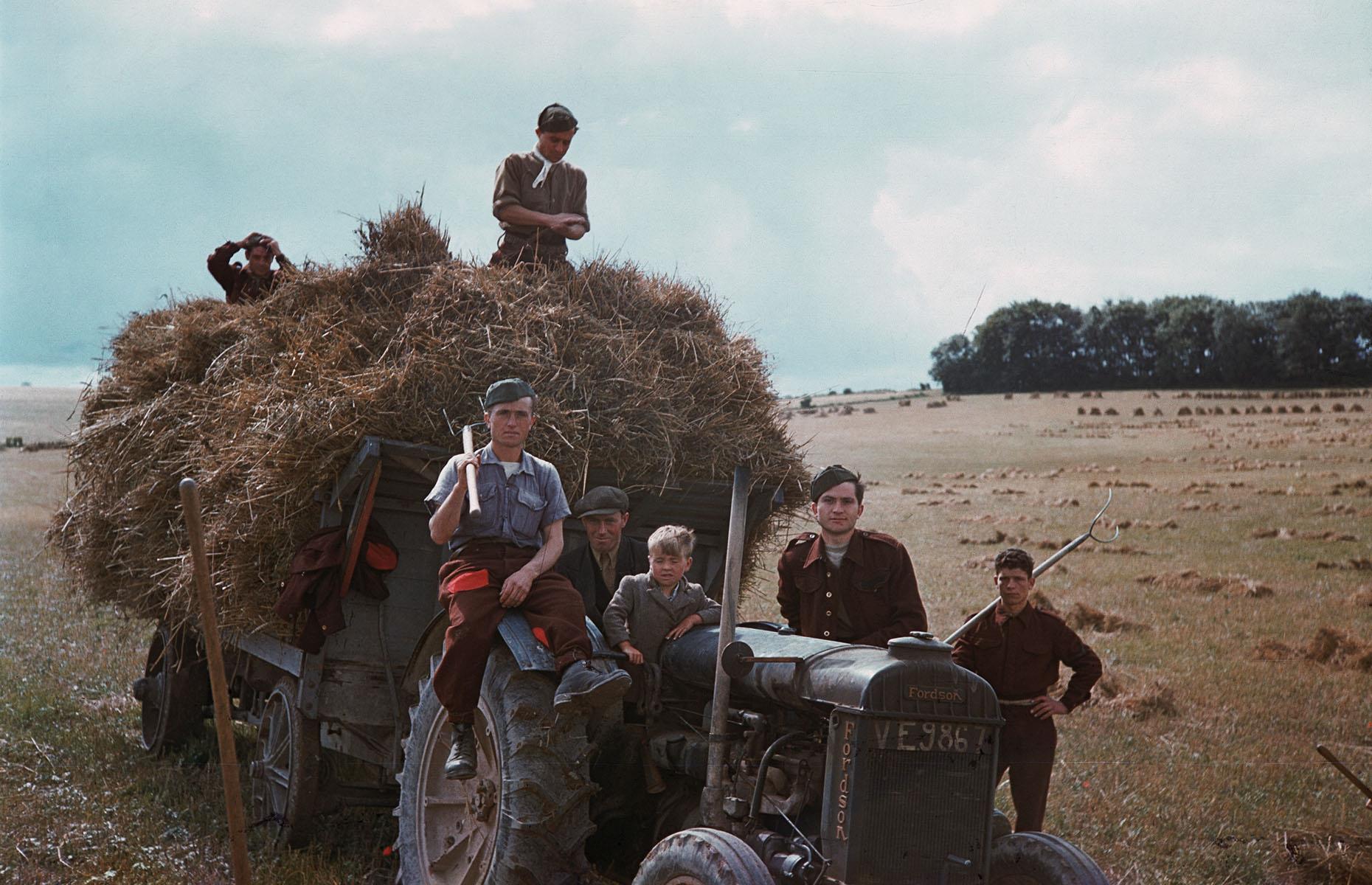 1943: German POWs help with the harvest, UK