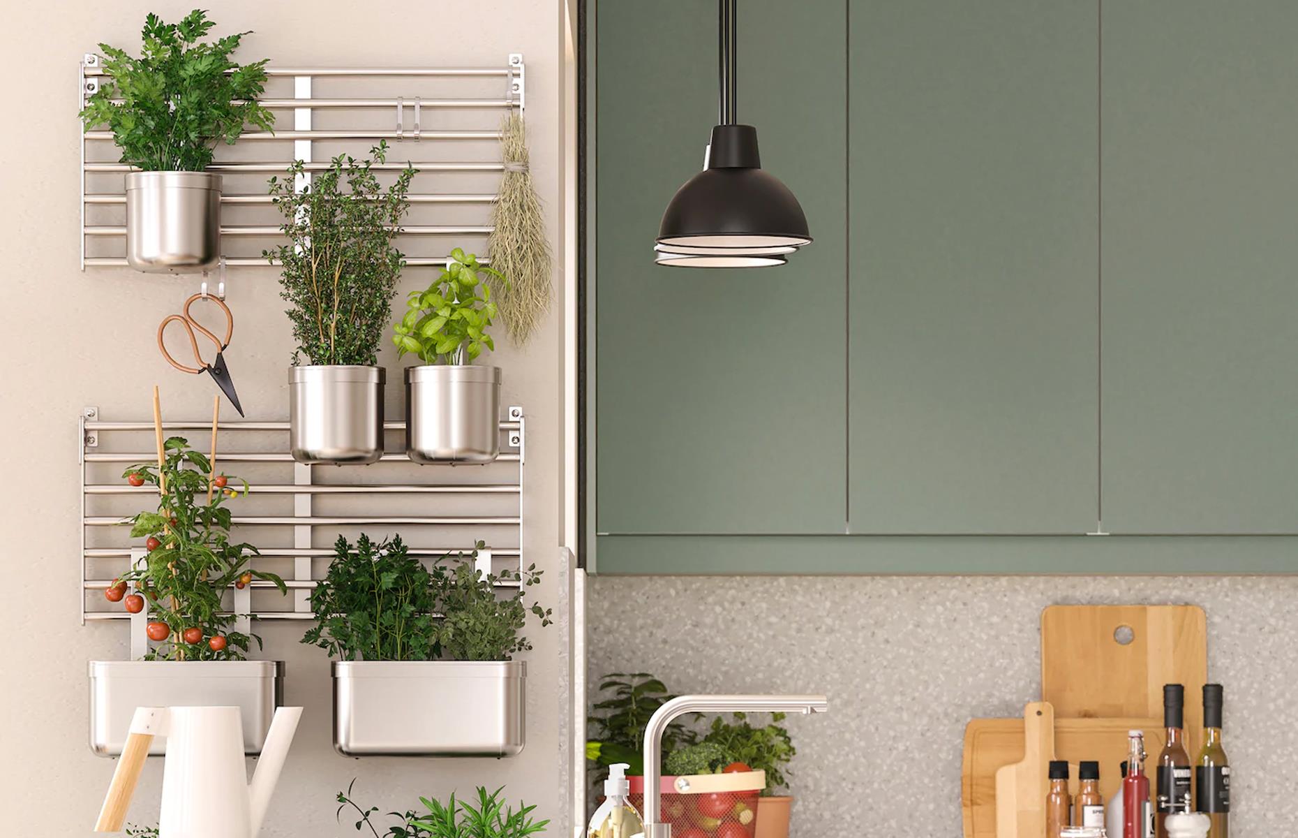 Grow a herb garden
