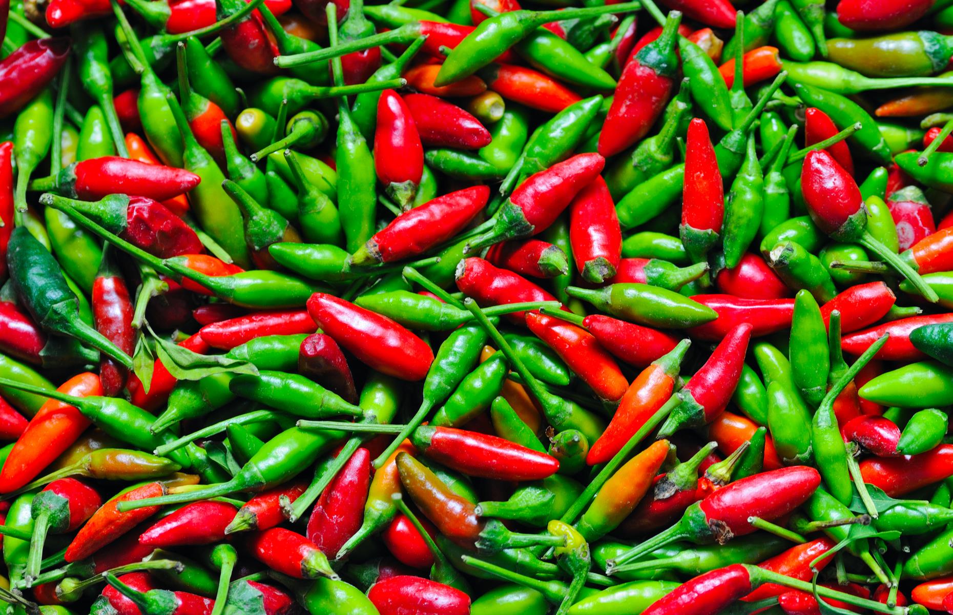 New Mexico: chilli pepper