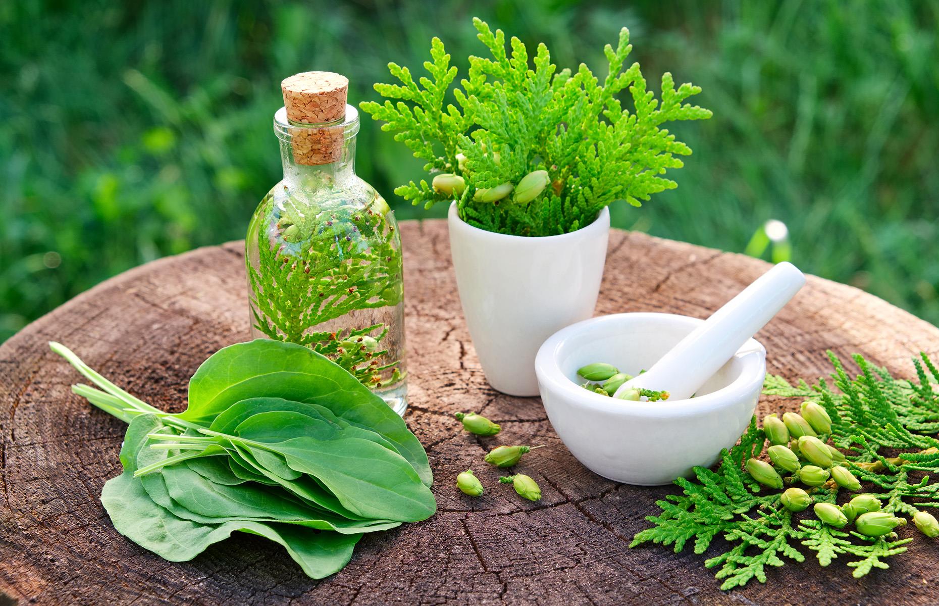 Modern medicine or herbal health?