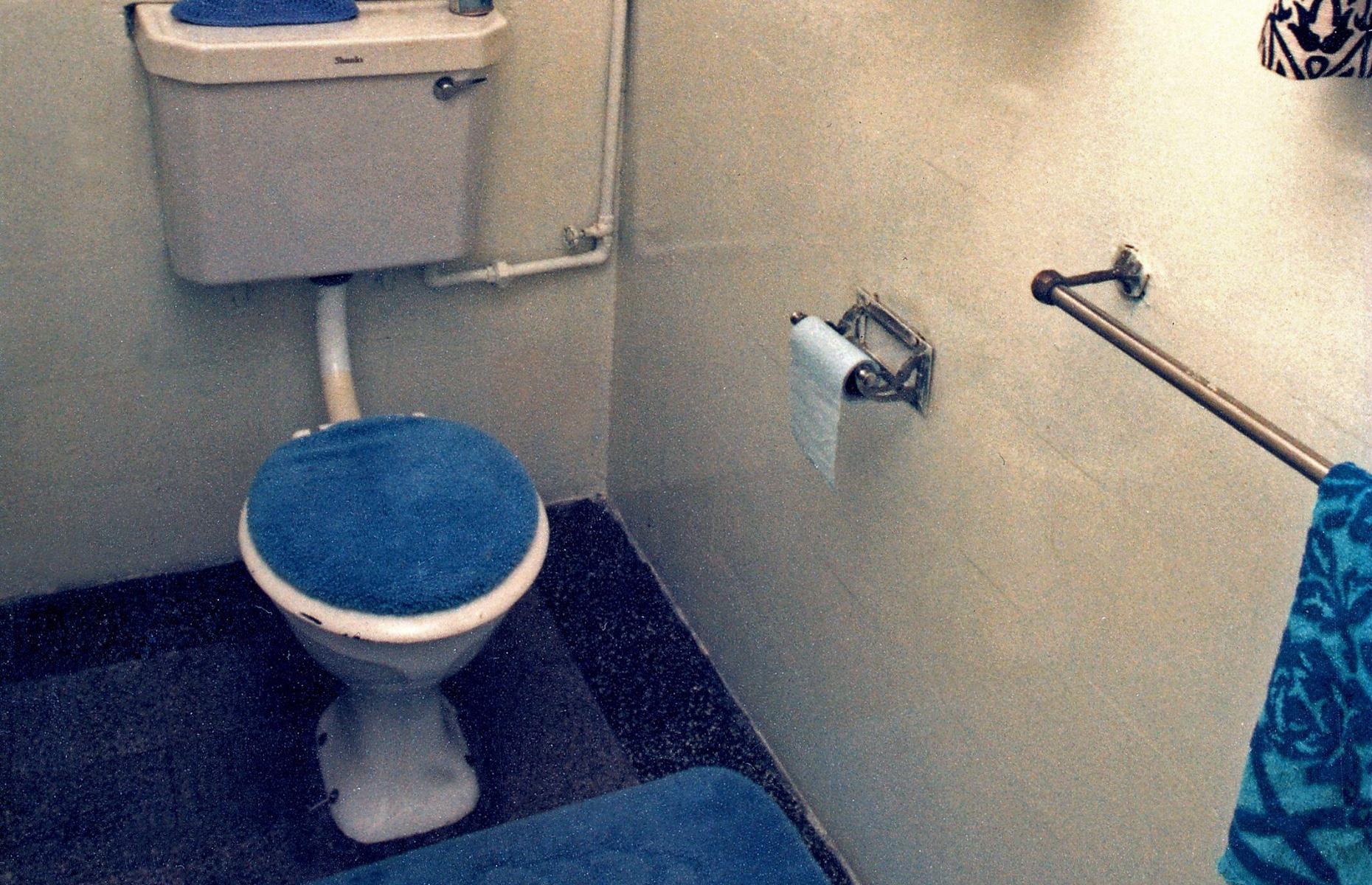 Carpeted bathrooms